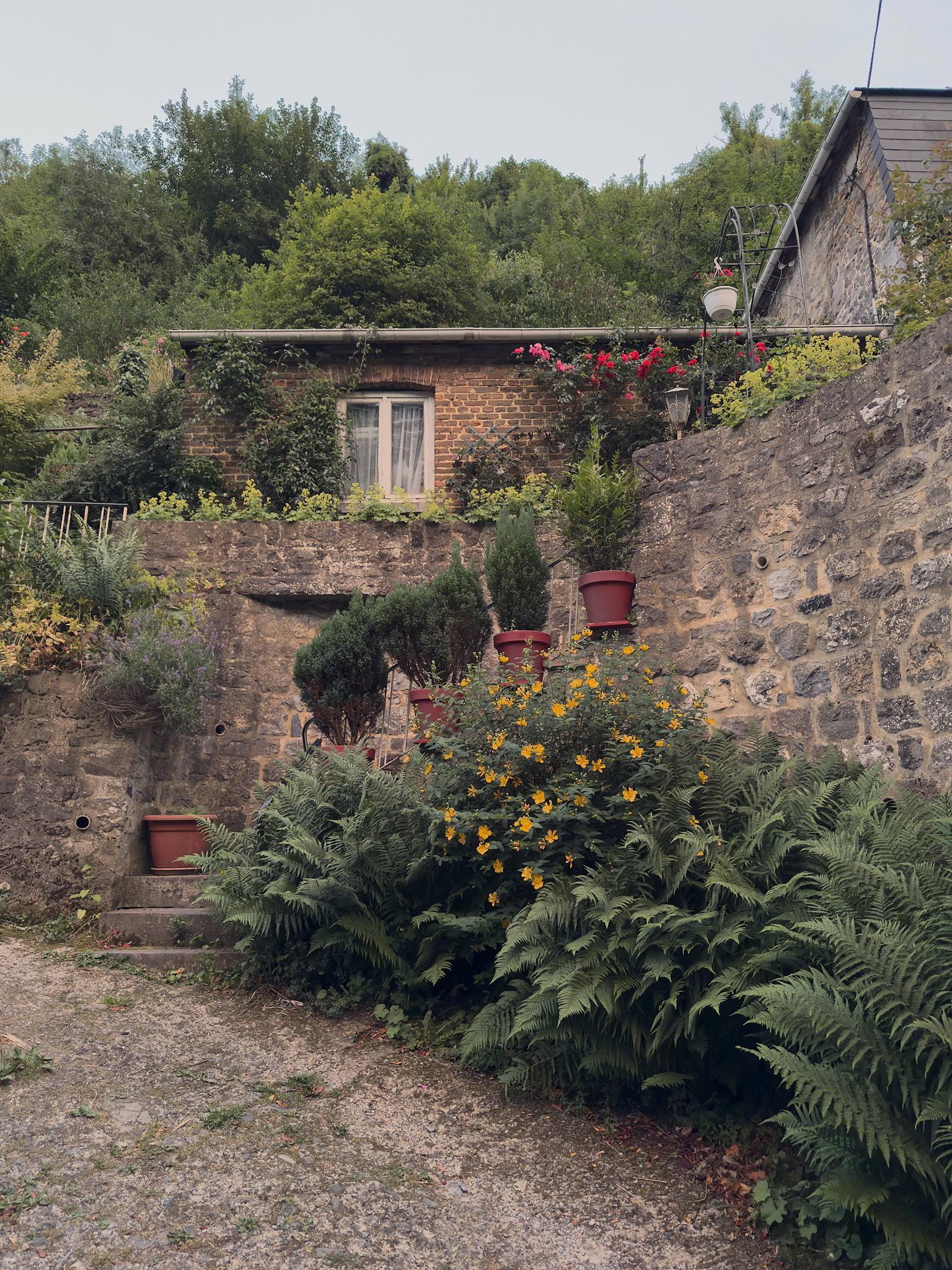 2025-06-25 22.03.23_Dinant_2048.jpg