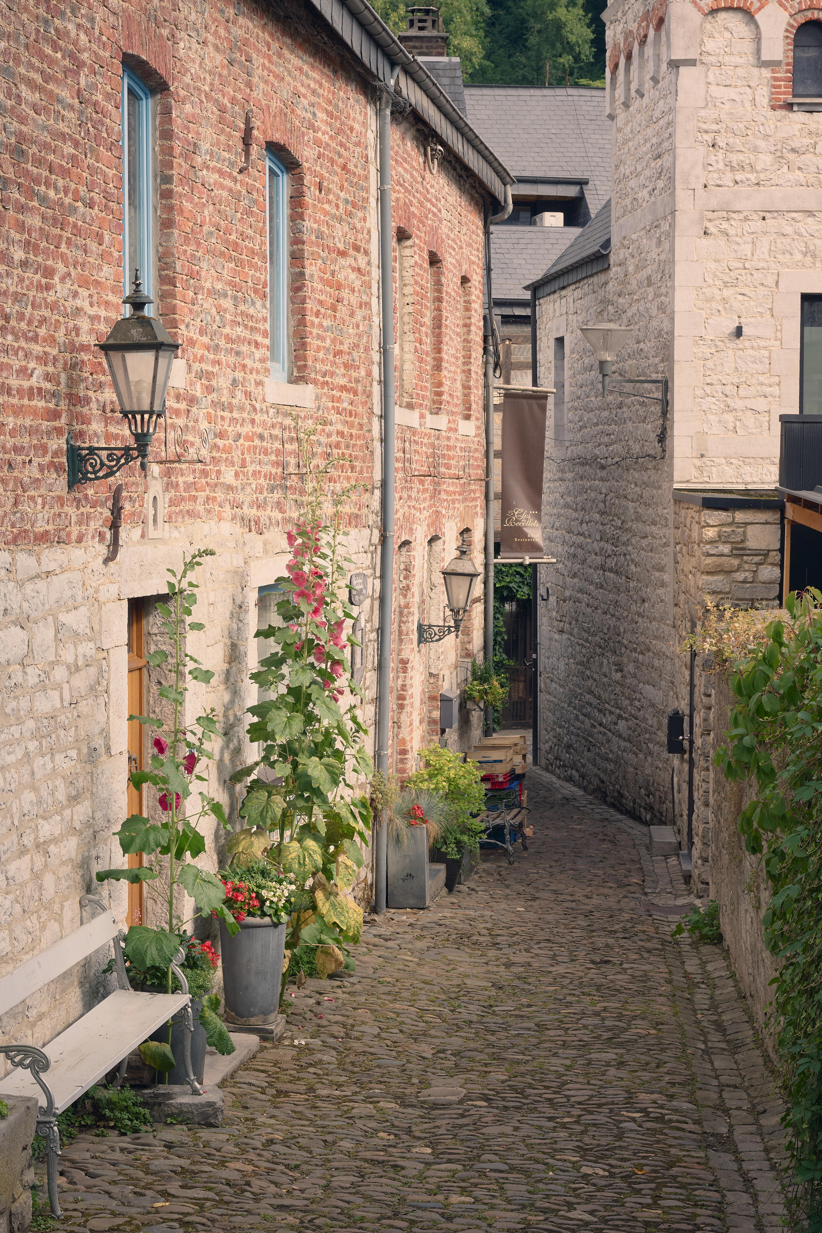 2025-06-26 17.05.29_Durbuy_4096.jpg