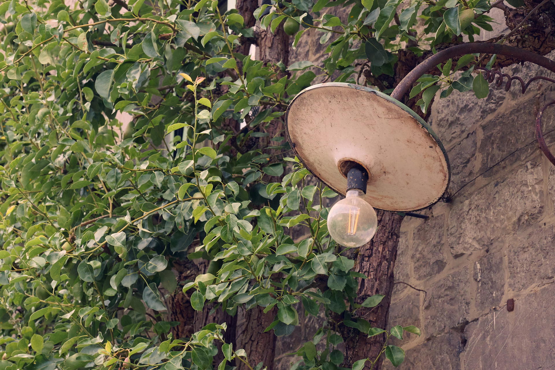 2025-06-26 17.30.07_Durbuy_2048.jpg