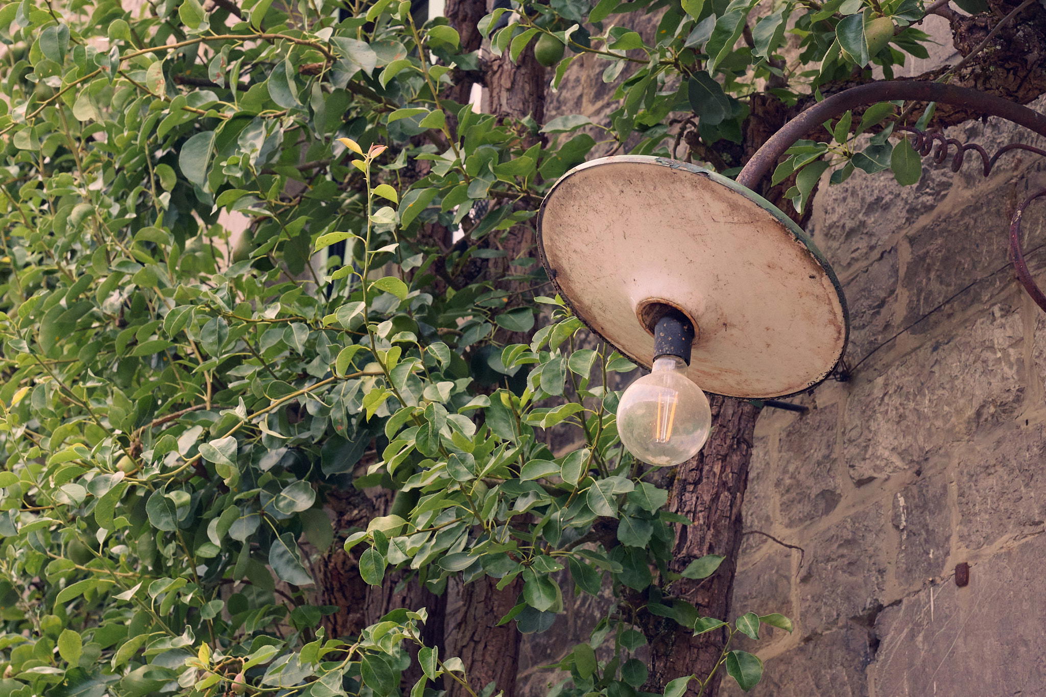 2025-06-26 17.30.07_Durbuy_2048.jpg