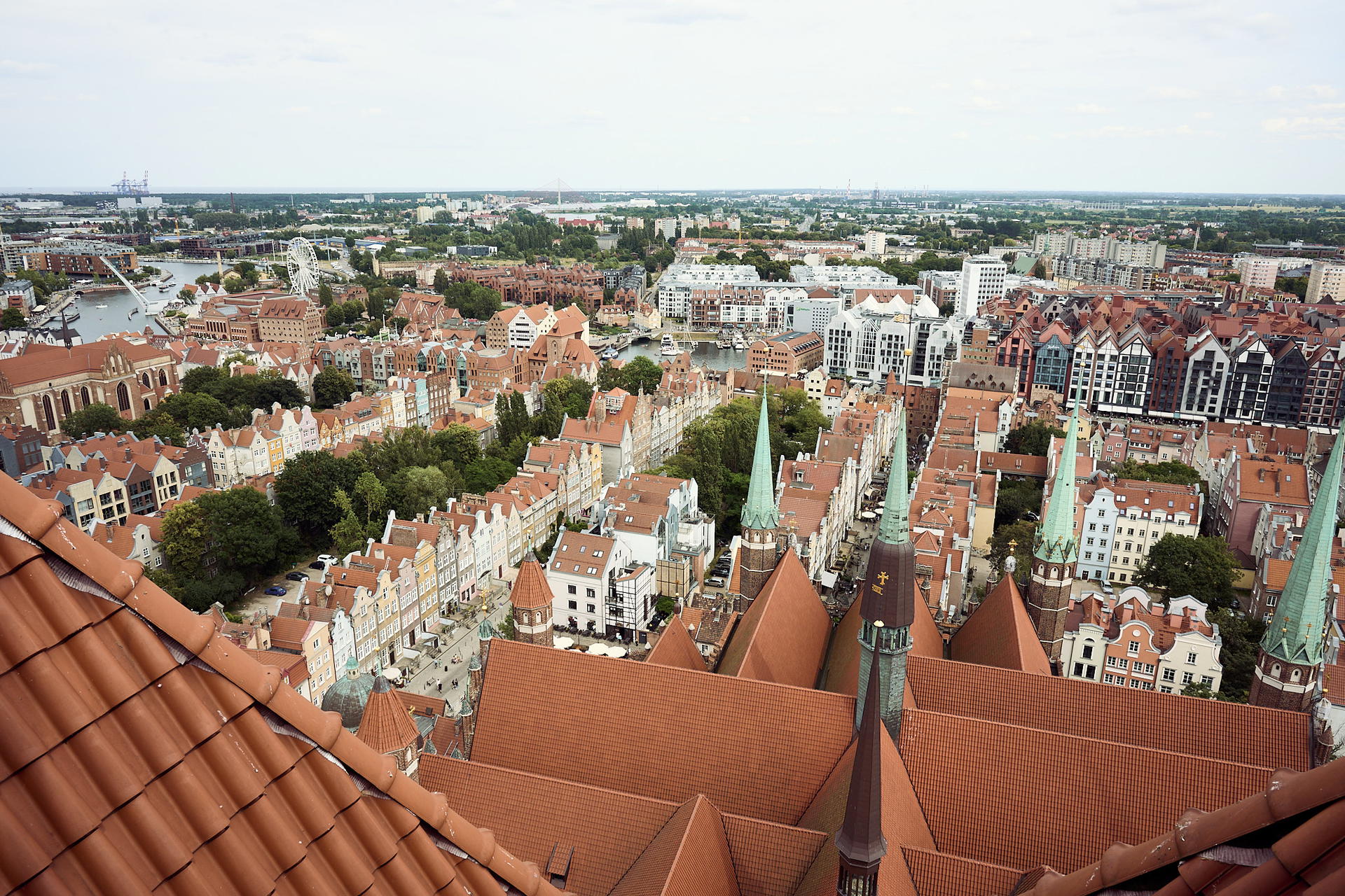 2025-07-05 15.05.53_GDansk_2048.jpg