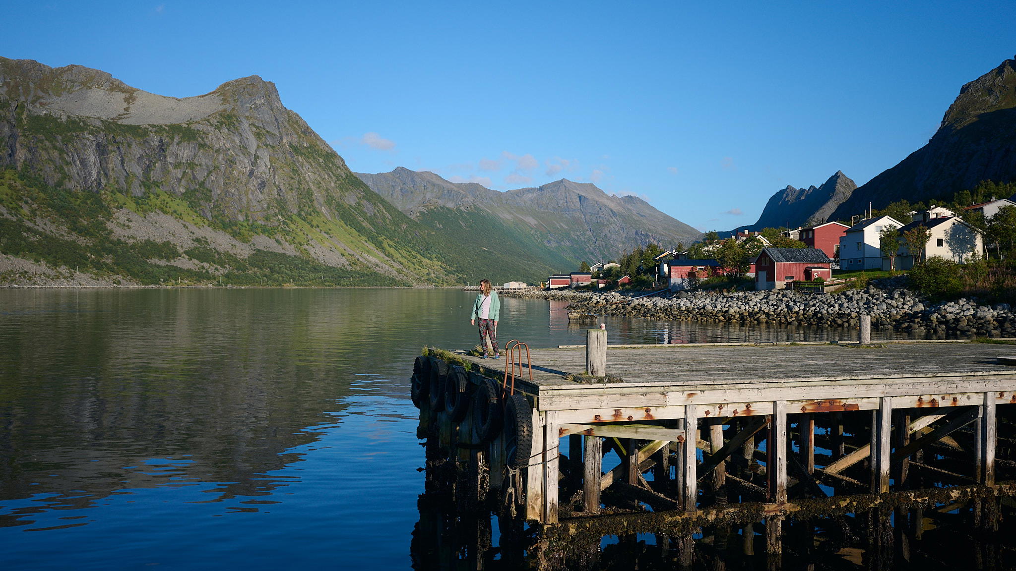 2025-09-06 17.21.56_Gryllefjord_2048.jpg