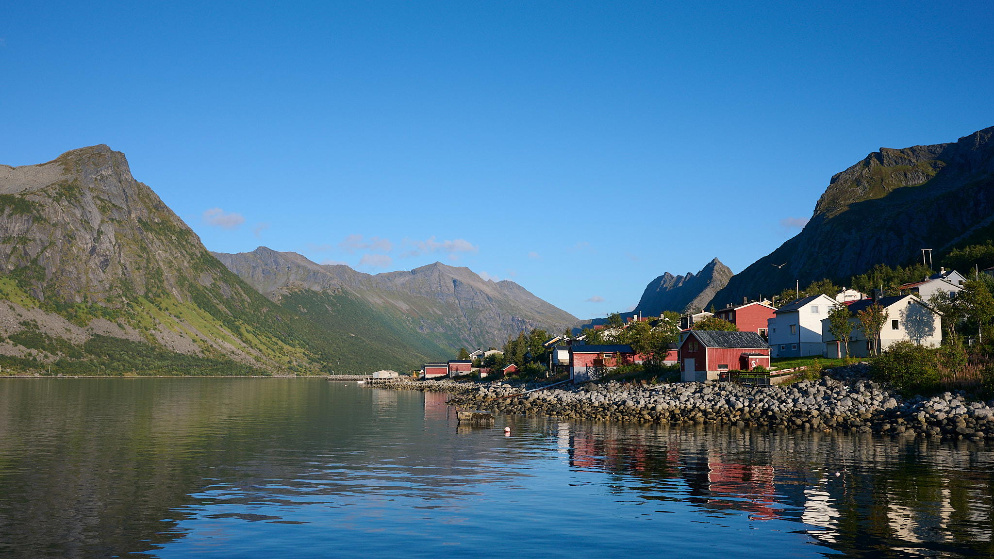 2025-09-06 17.23.03_Gryllefjord_2048.jpg