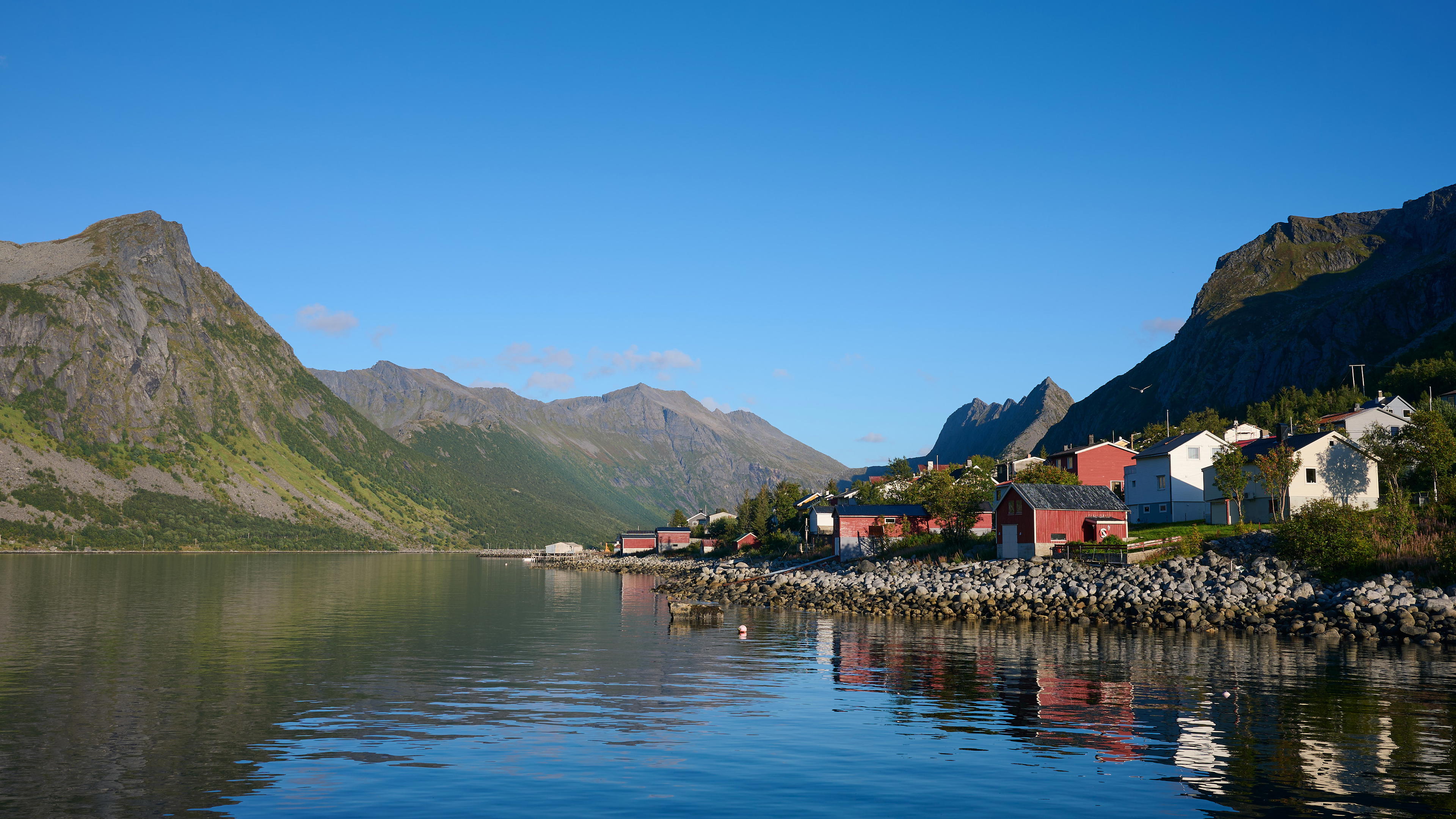 2025-09-06 17.23.03_Gryllefjord_4096.jpg