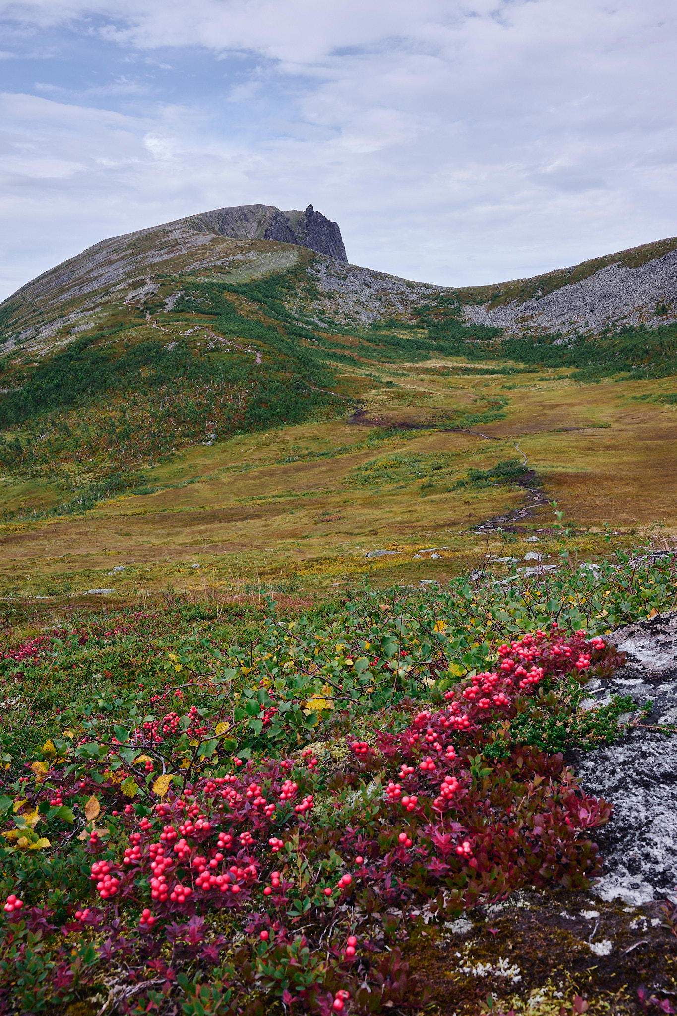 2025-09-07 14.23.11_Husfjellet_2048.jpg