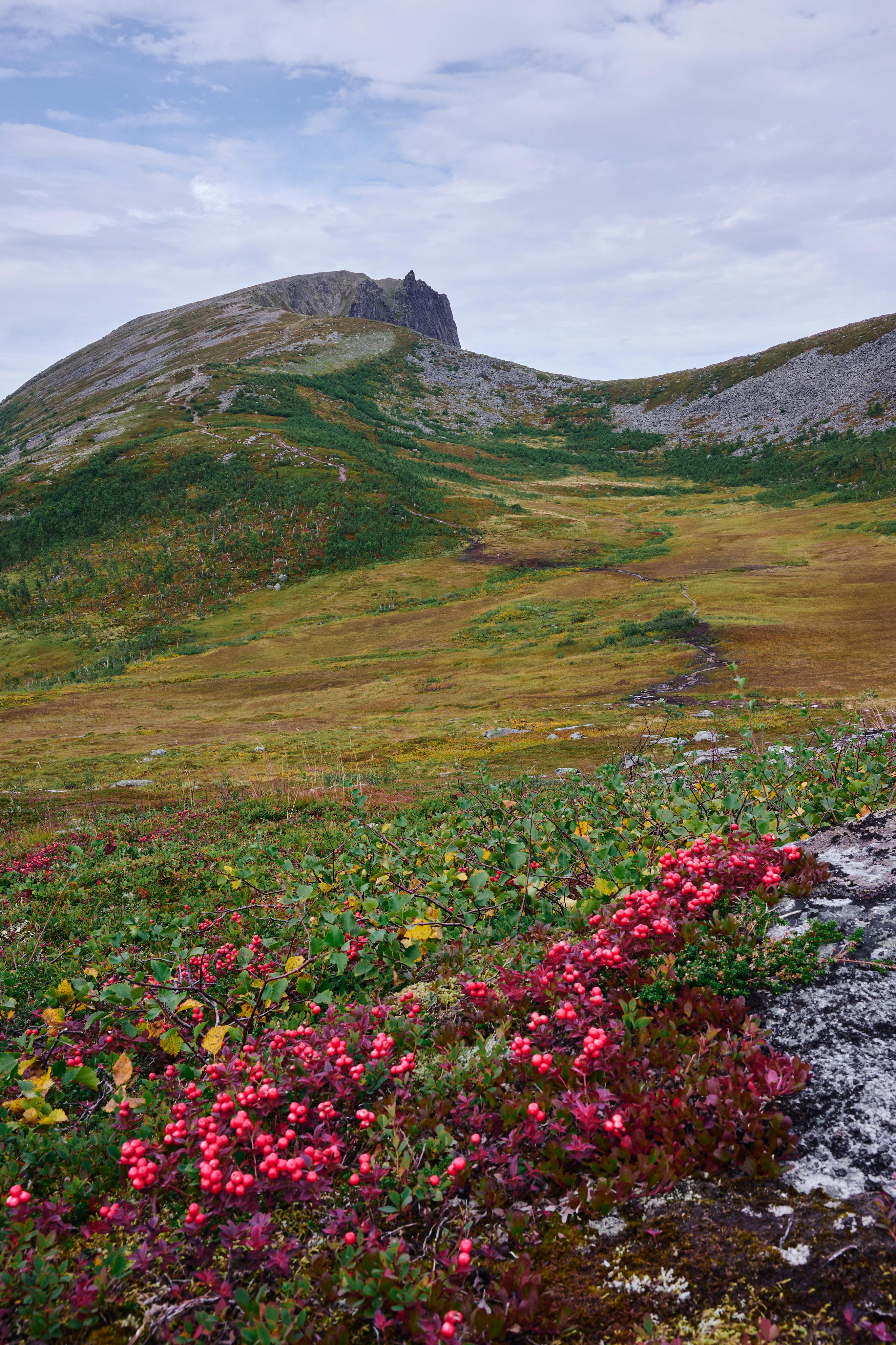 2025-09-07 14.23.11_Husfjellet_4096.jpg