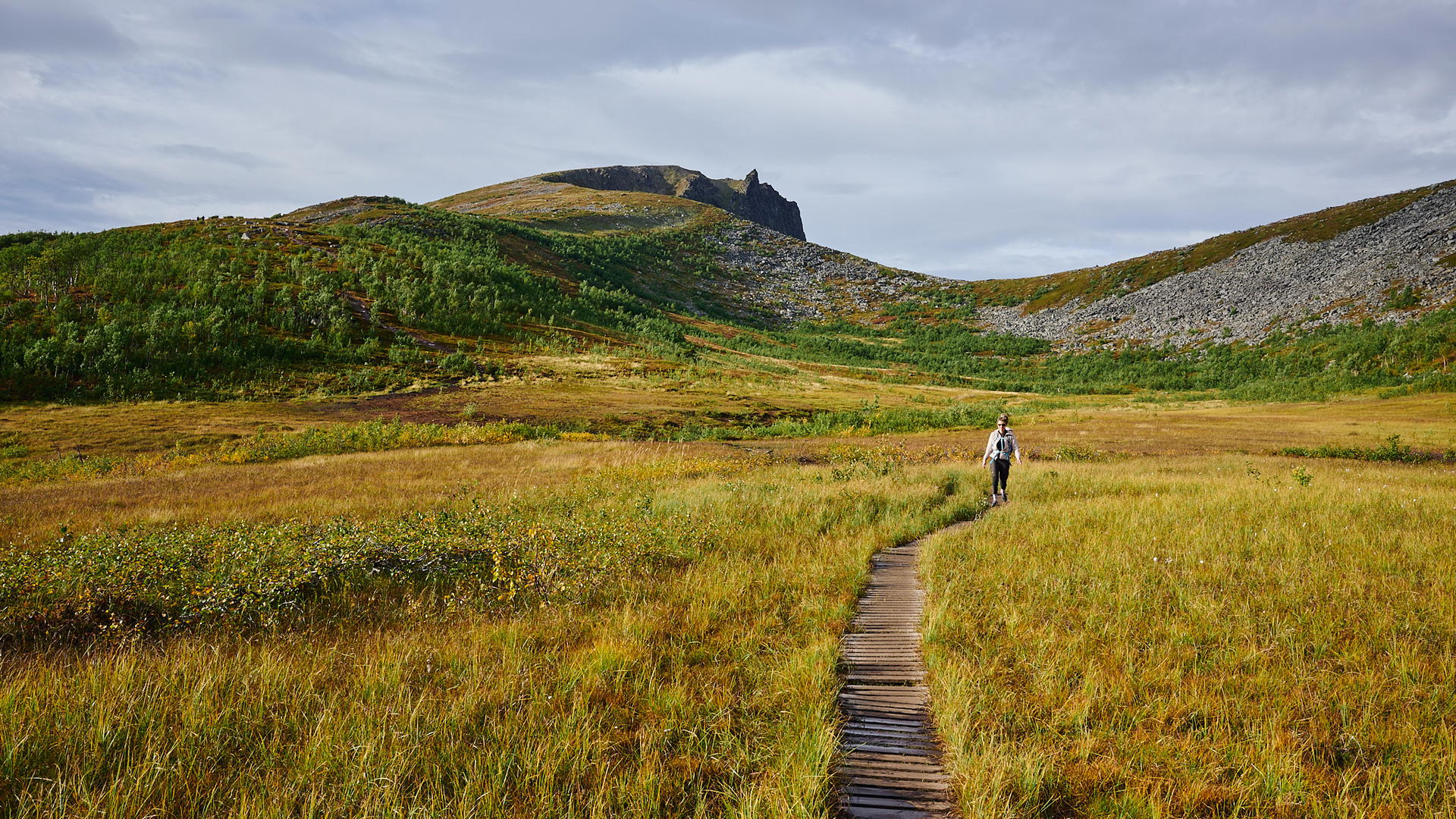 2025-09-07 16.19.13_Husfjellet_2048.jpg