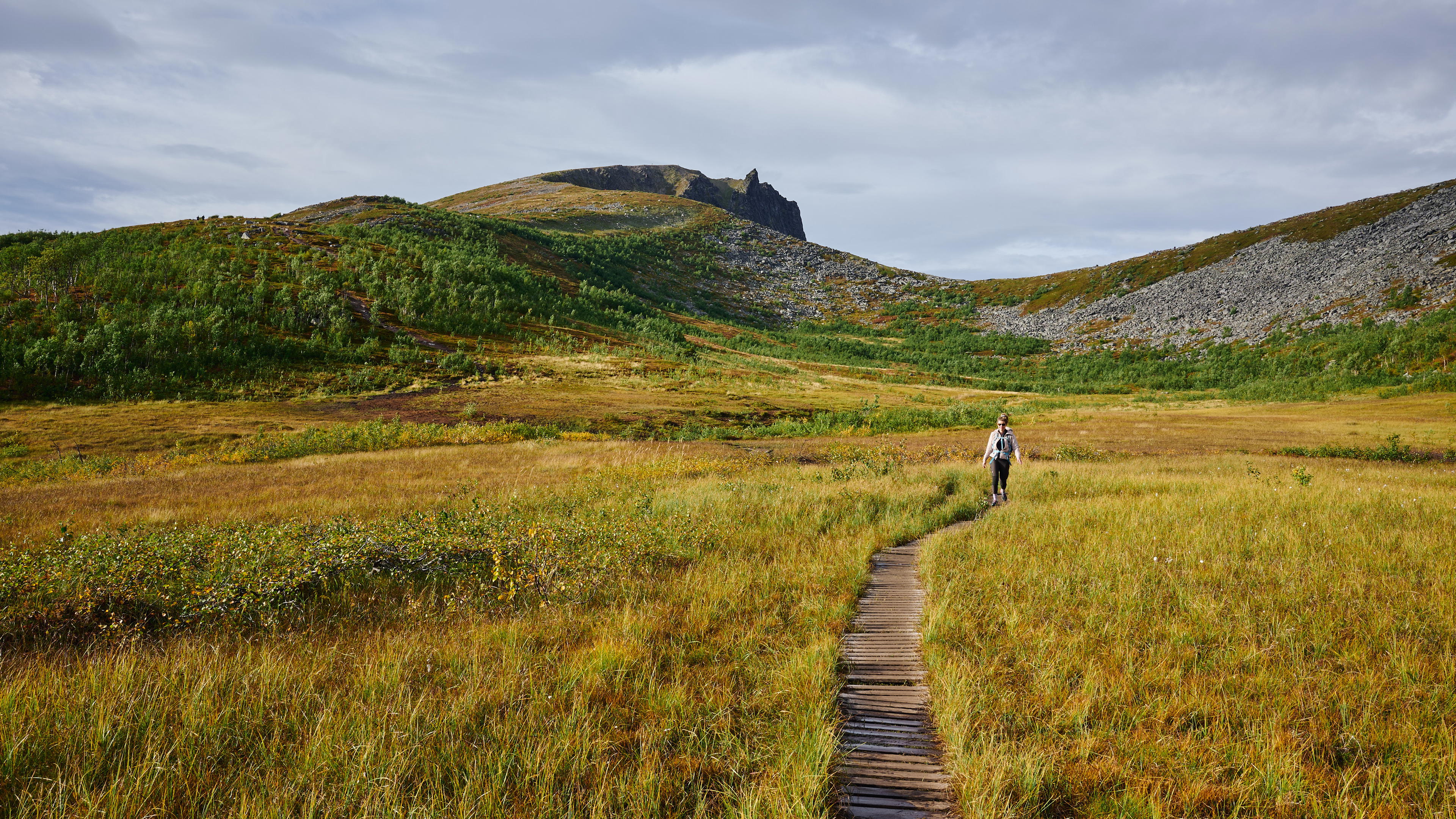 2025-09-07 16.19.13_Husfjellet_4096.jpg