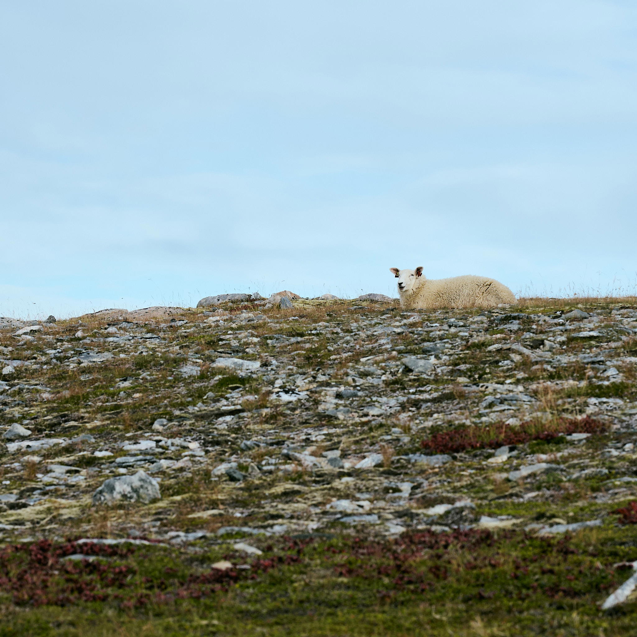 2025-09-20 15.45.16_Matind_2048.jpg