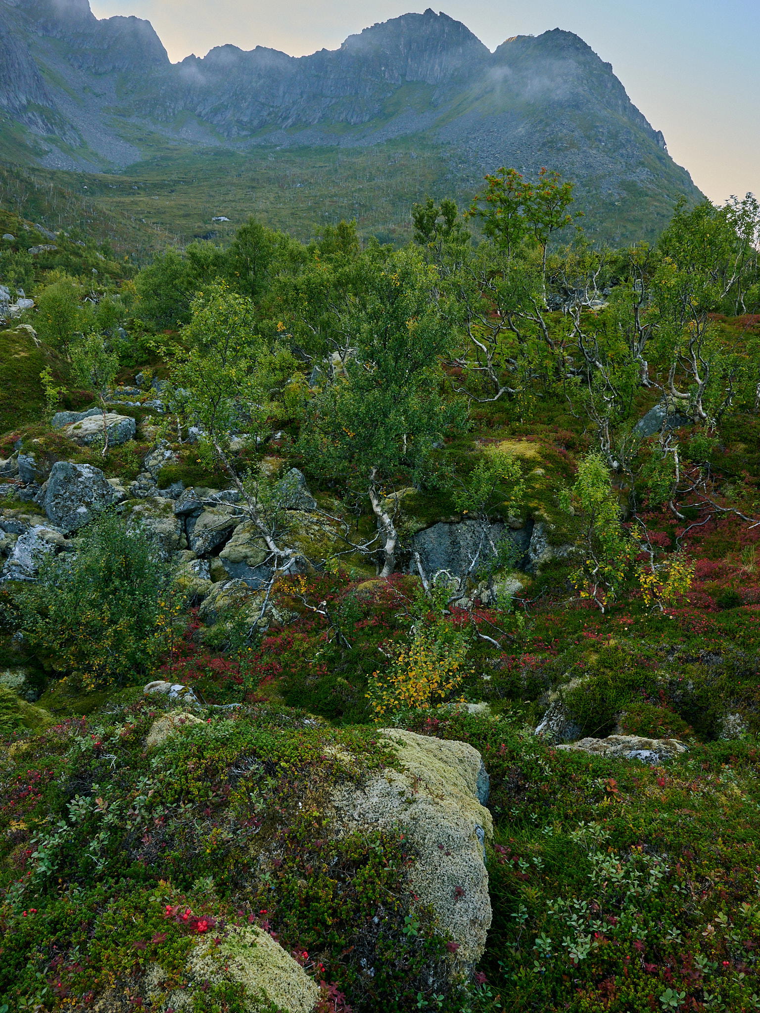 2025-09-10 17.32.14_Mefjordvaer_2048.jpg