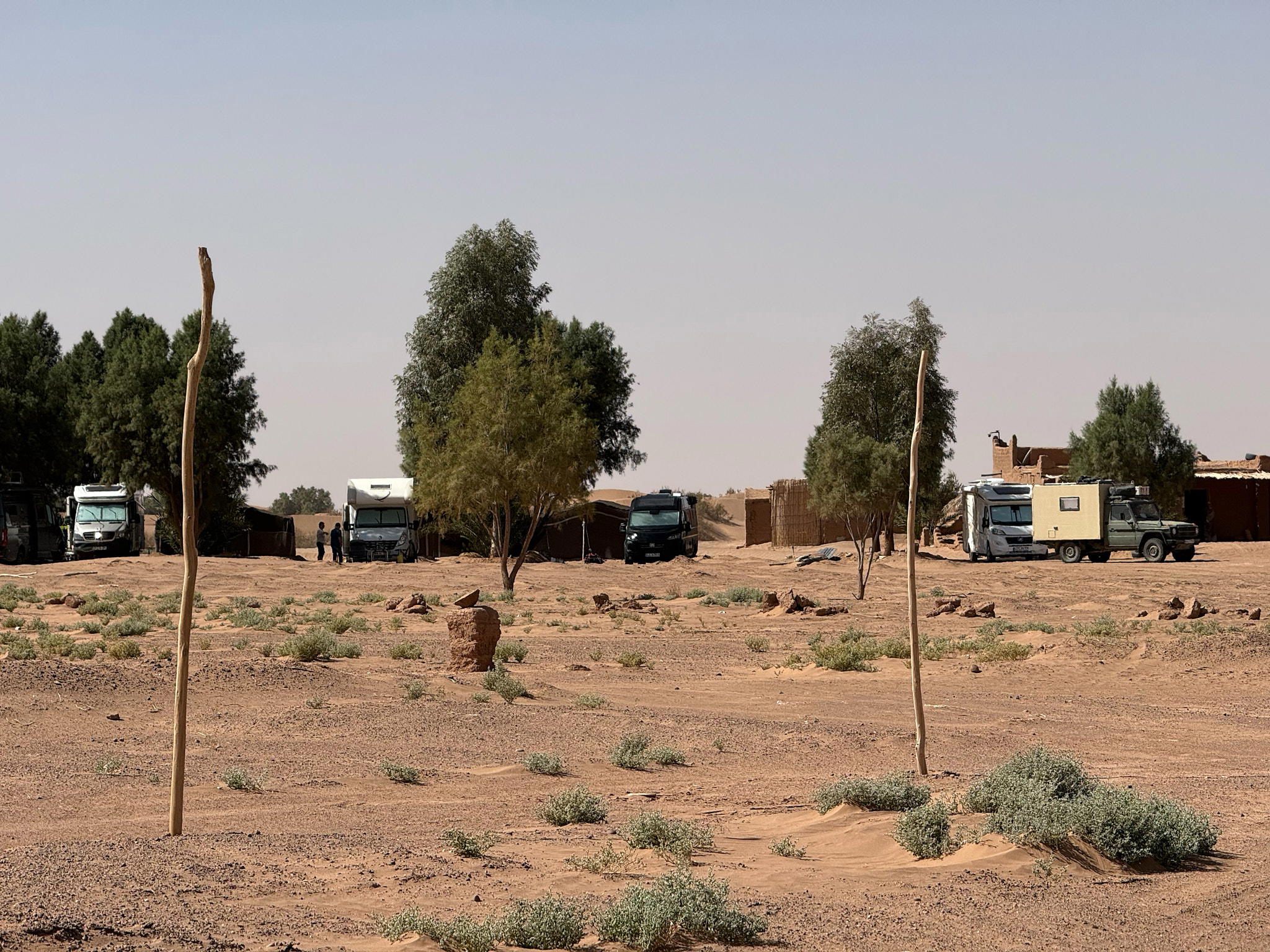 2026-02-14 13.33.02_Mhamid_2048.jpg