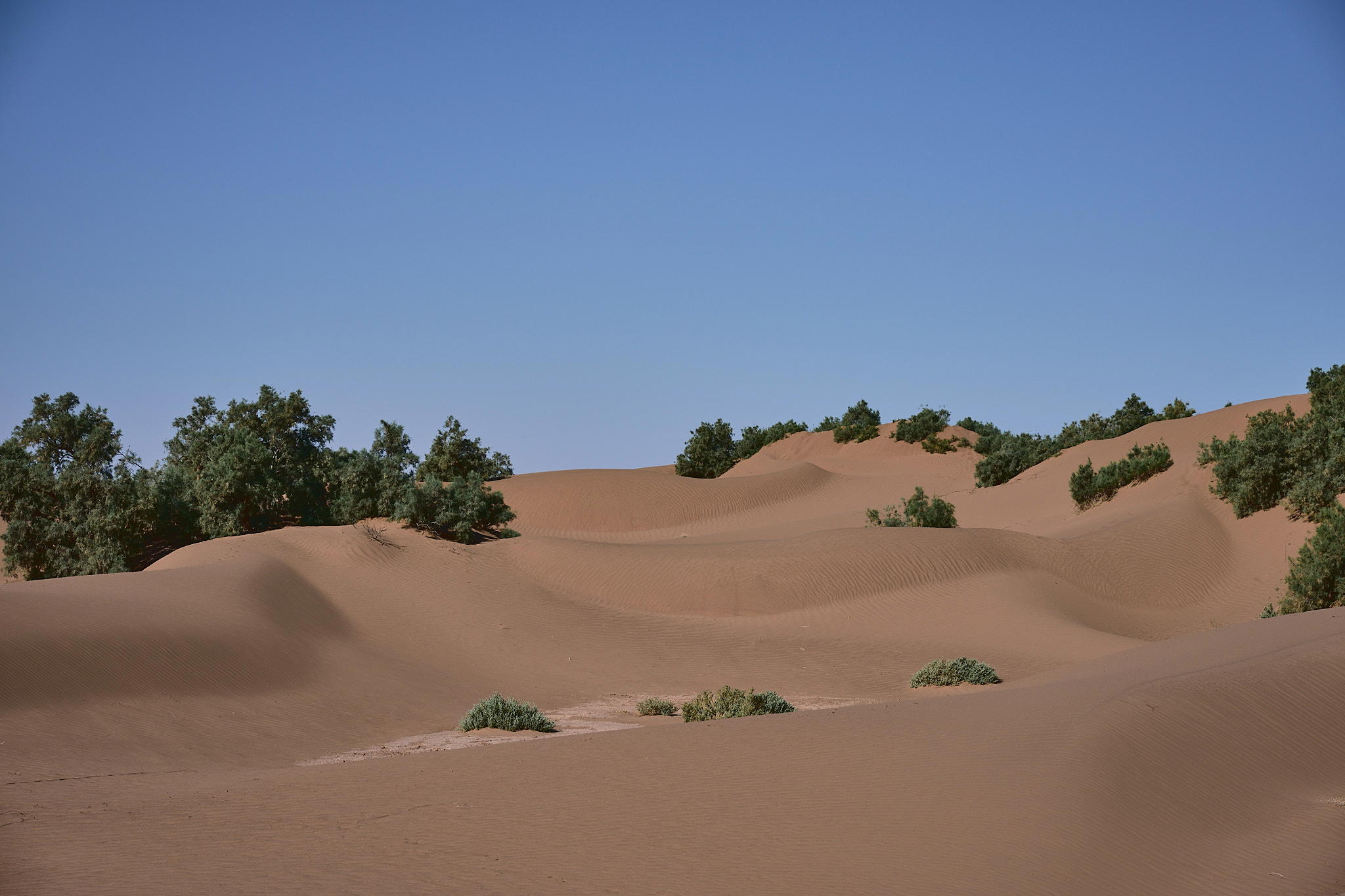 2026-02-15 11.00.54_Mhamid_2048.jpg