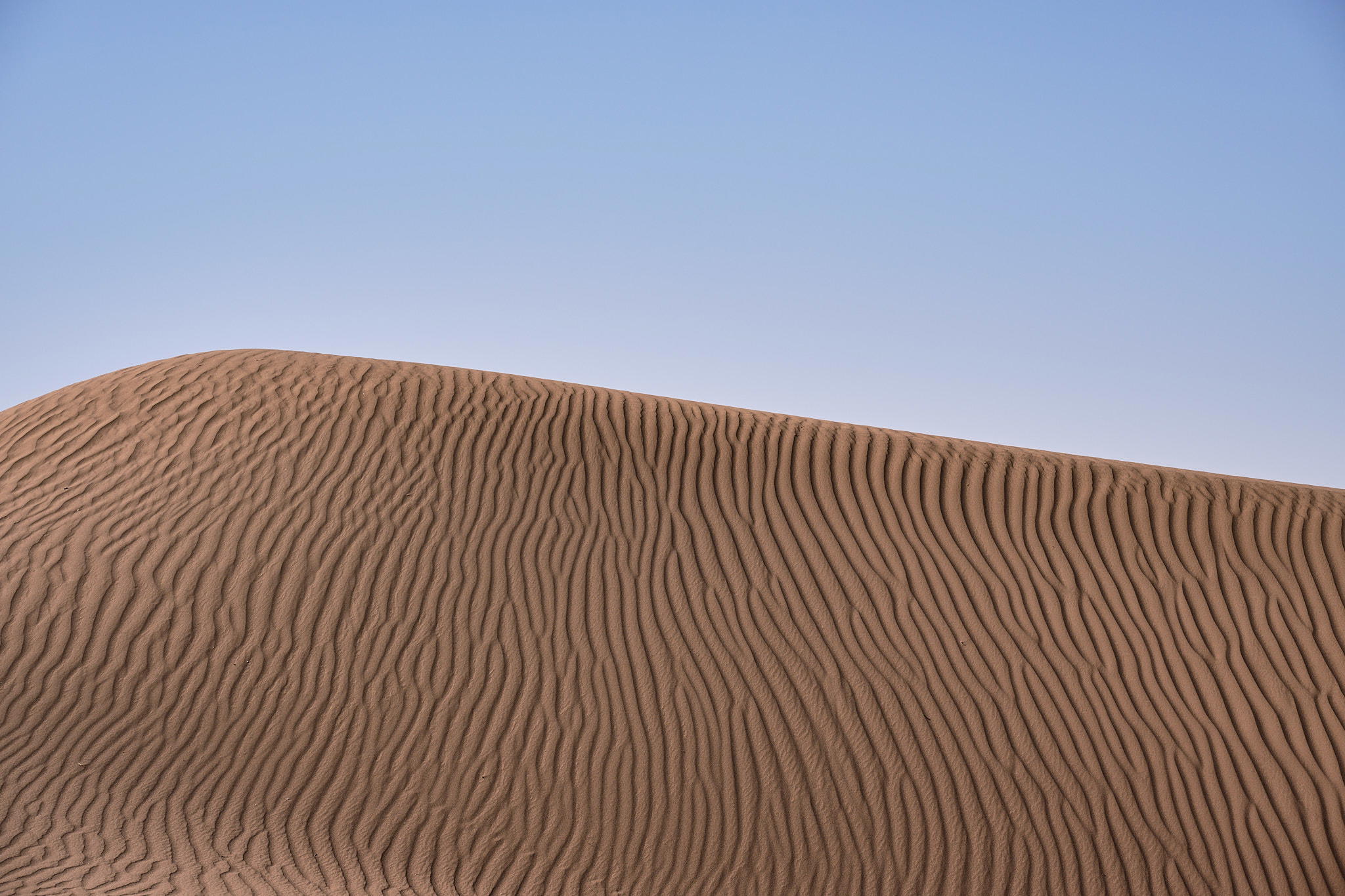 2026-02-15 11.01.34_Mhamid_2048.jpg