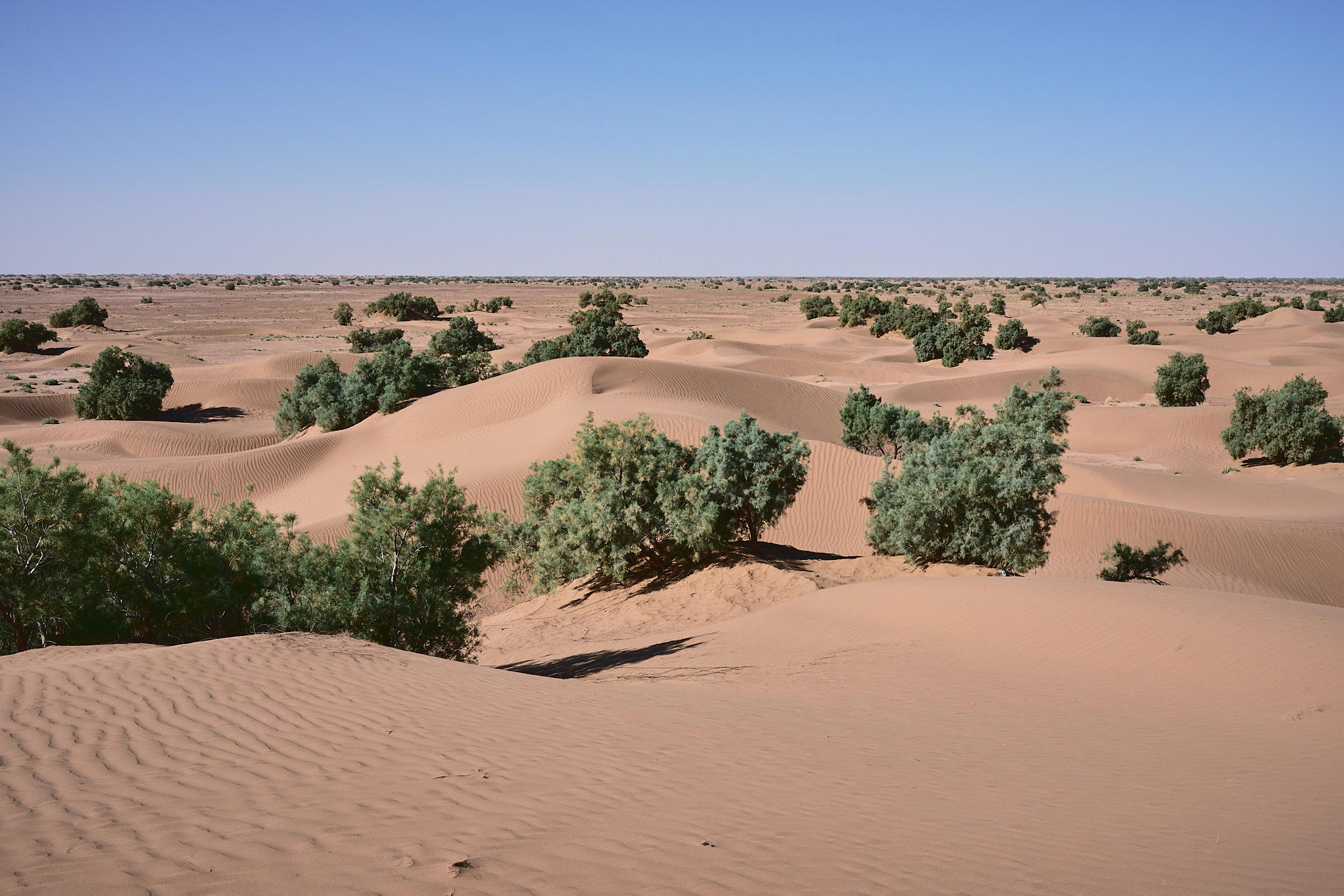 2026-02-15 11.06.16_Mhamid_2048.jpg