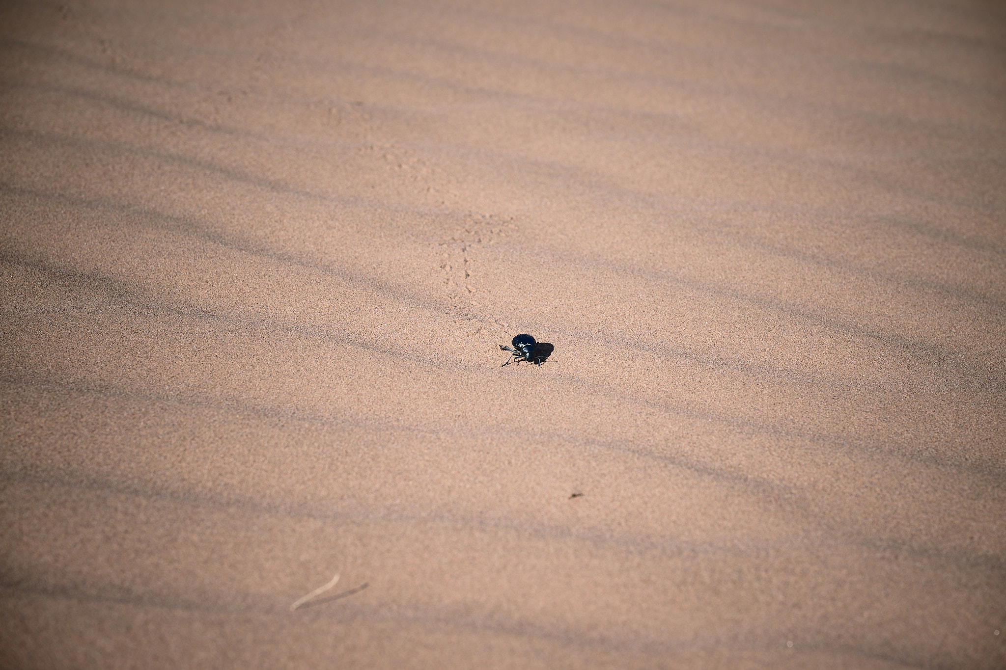 2026-02-15 11.17.10_Mhamid_2048.jpg