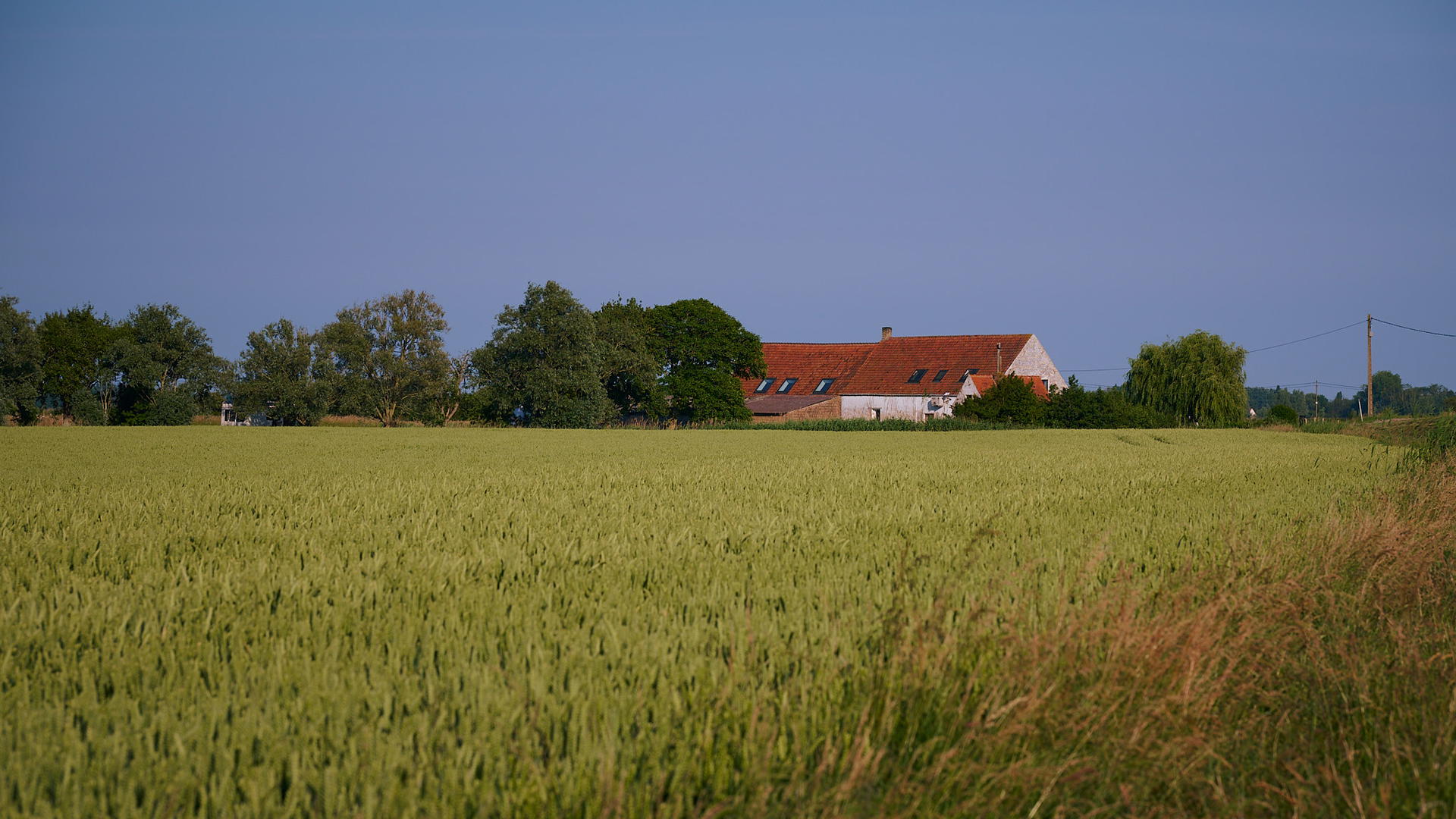 View of a barn