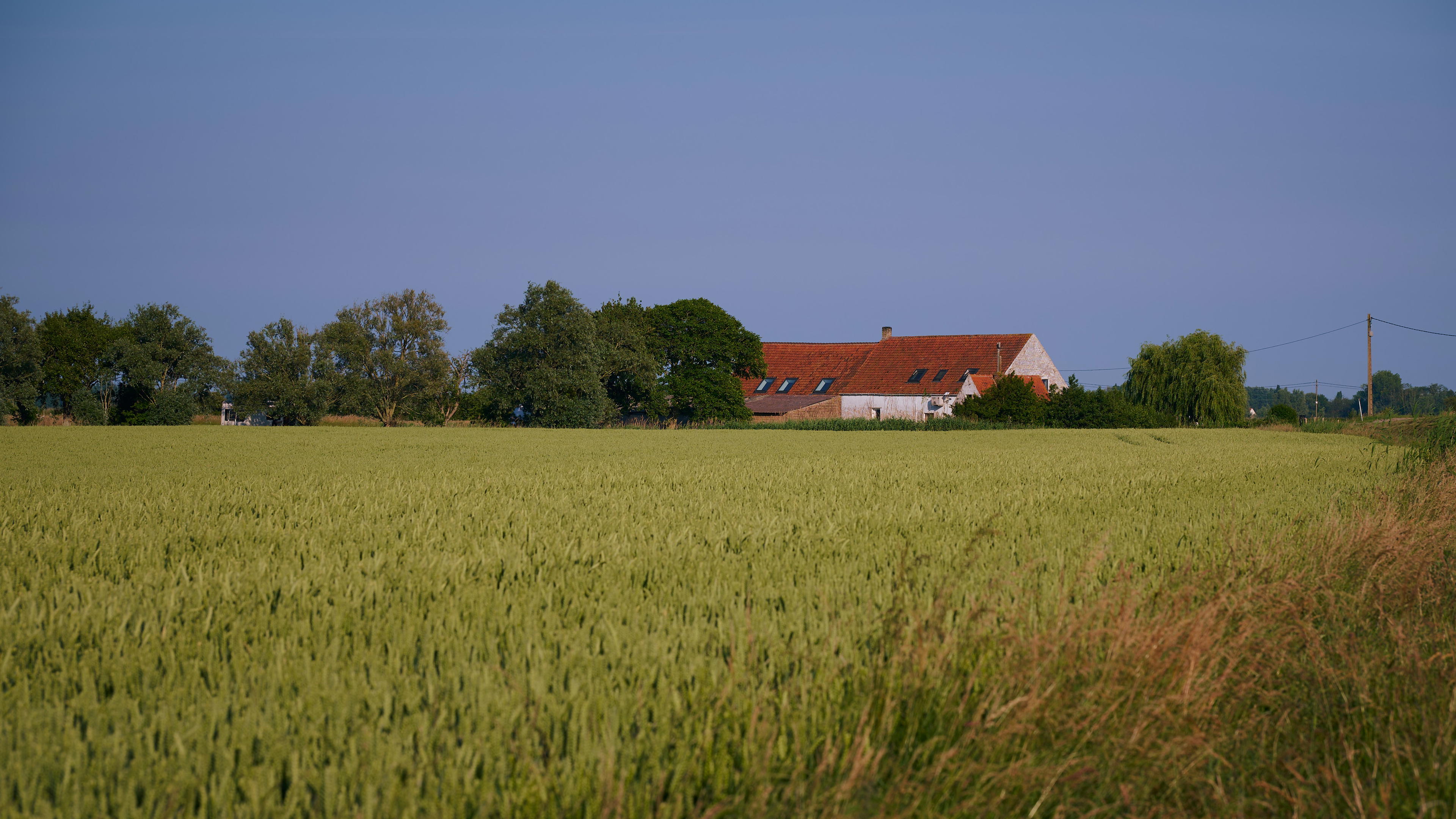 View of a barn