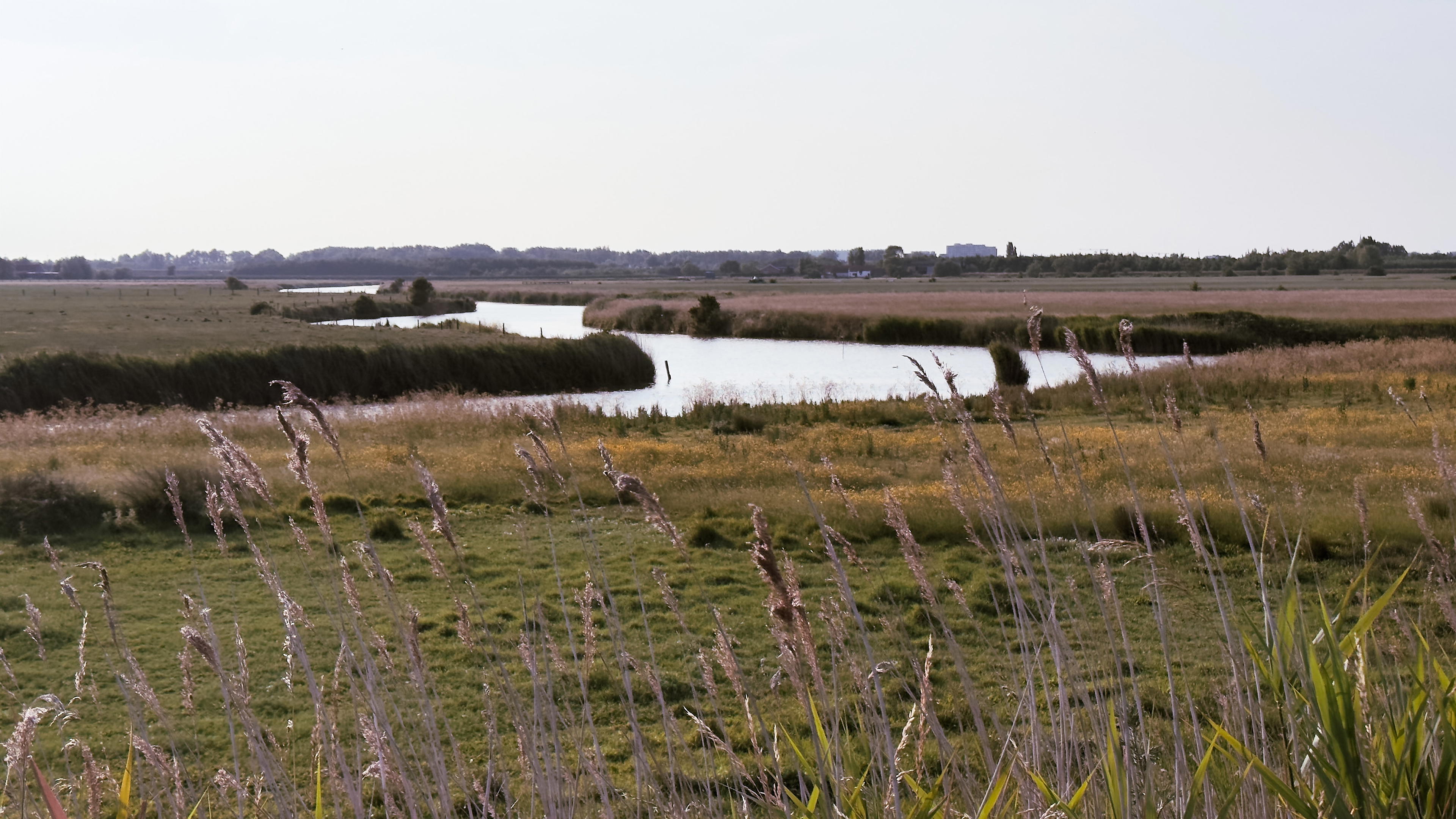 2025-06-13 19.33.41_Oostende_4096.jpg