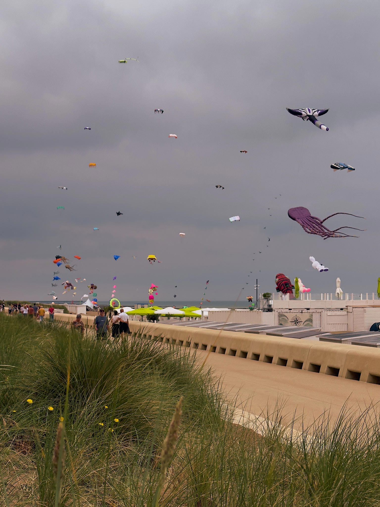 2025-06-14 12.24.19_Oostende_2048.jpg