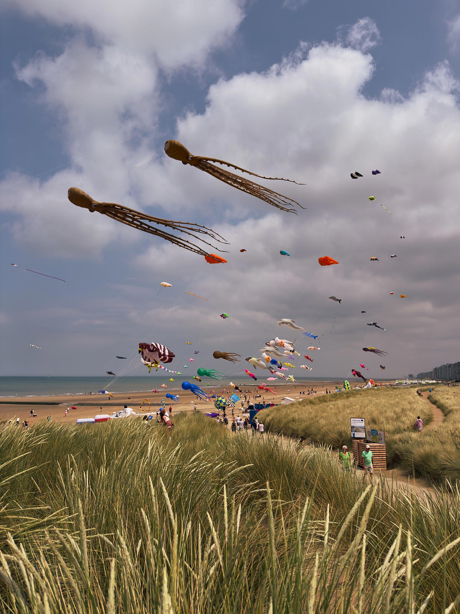 2025-06-14 13.21.45_Oostende_2048.jpg