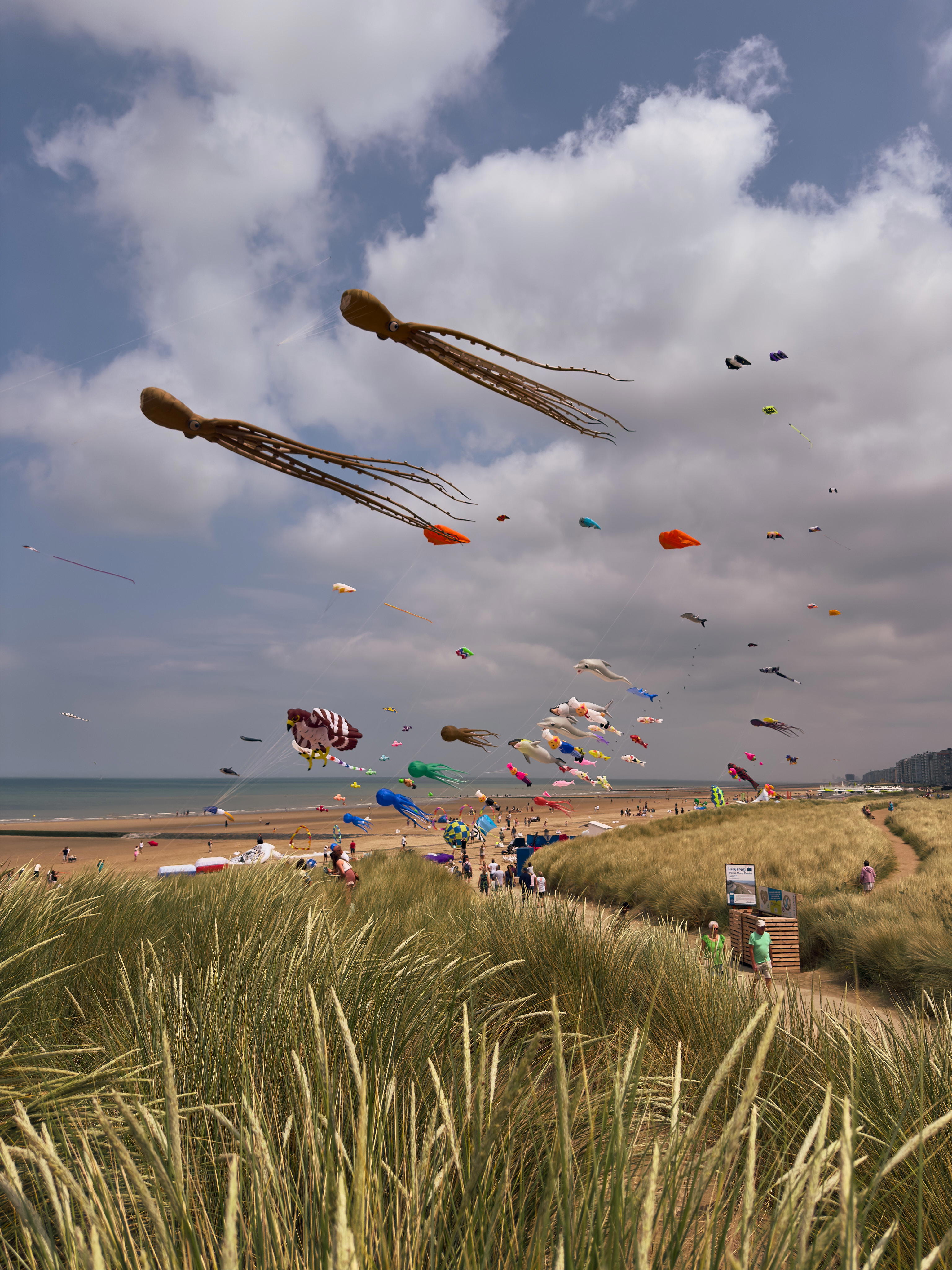 2025-06-14 13.21.45_Oostende_4096.jpg