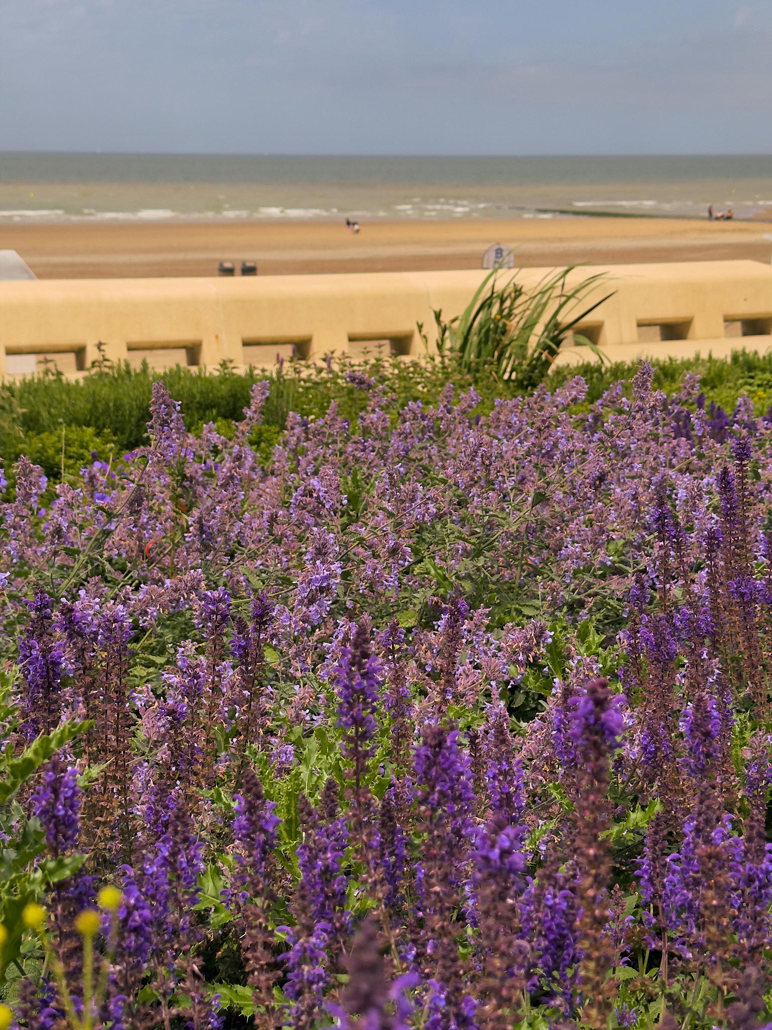2025-06-14 14.09.58_Oostende_2048.jpg