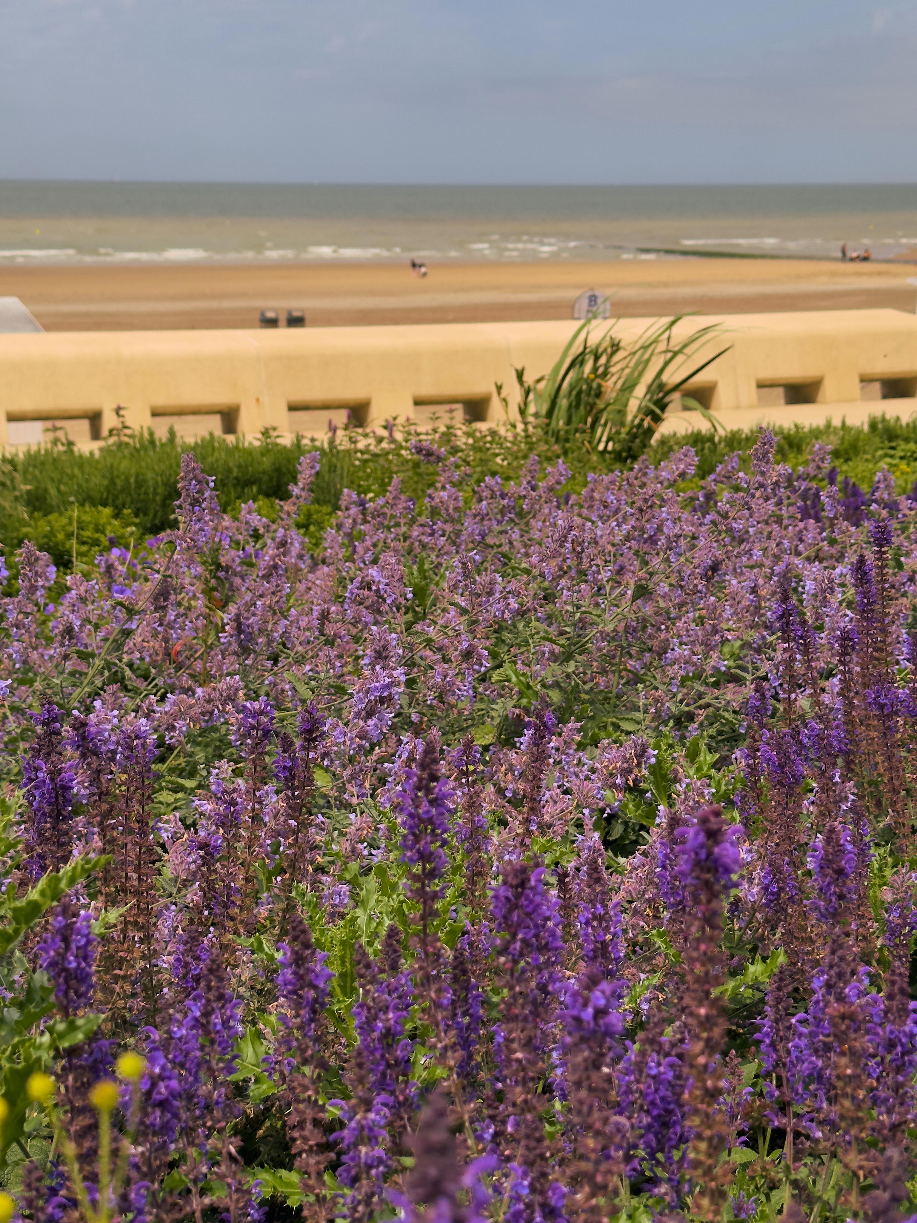 2025-06-14 14.09.58_Oostende_4096.jpg