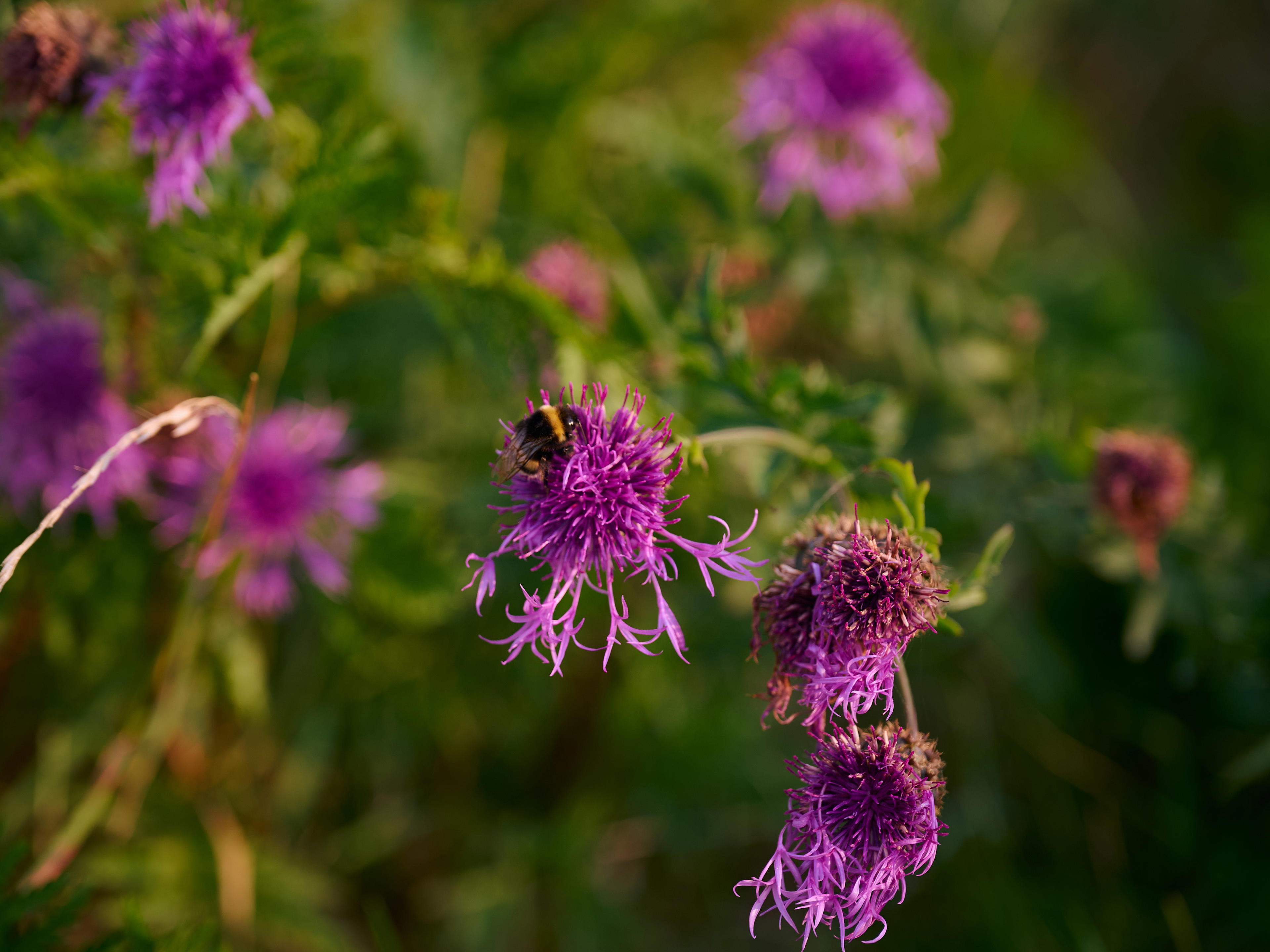 2025-06-15 19.44.59_Oostende_4096.jpg