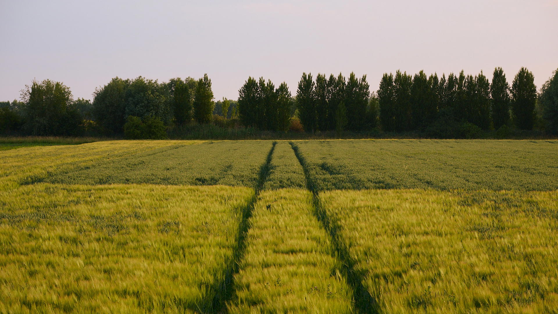 2025-06-15 20.02.23_Oostende_2048.jpg