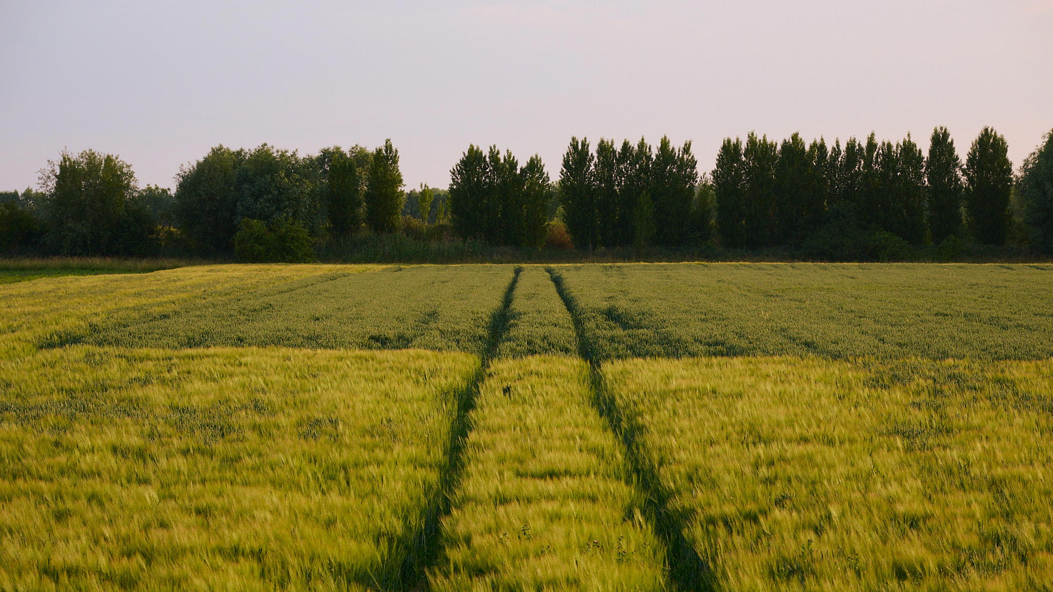 2025-06-15 20.02.23_Oostende_2048.jpg