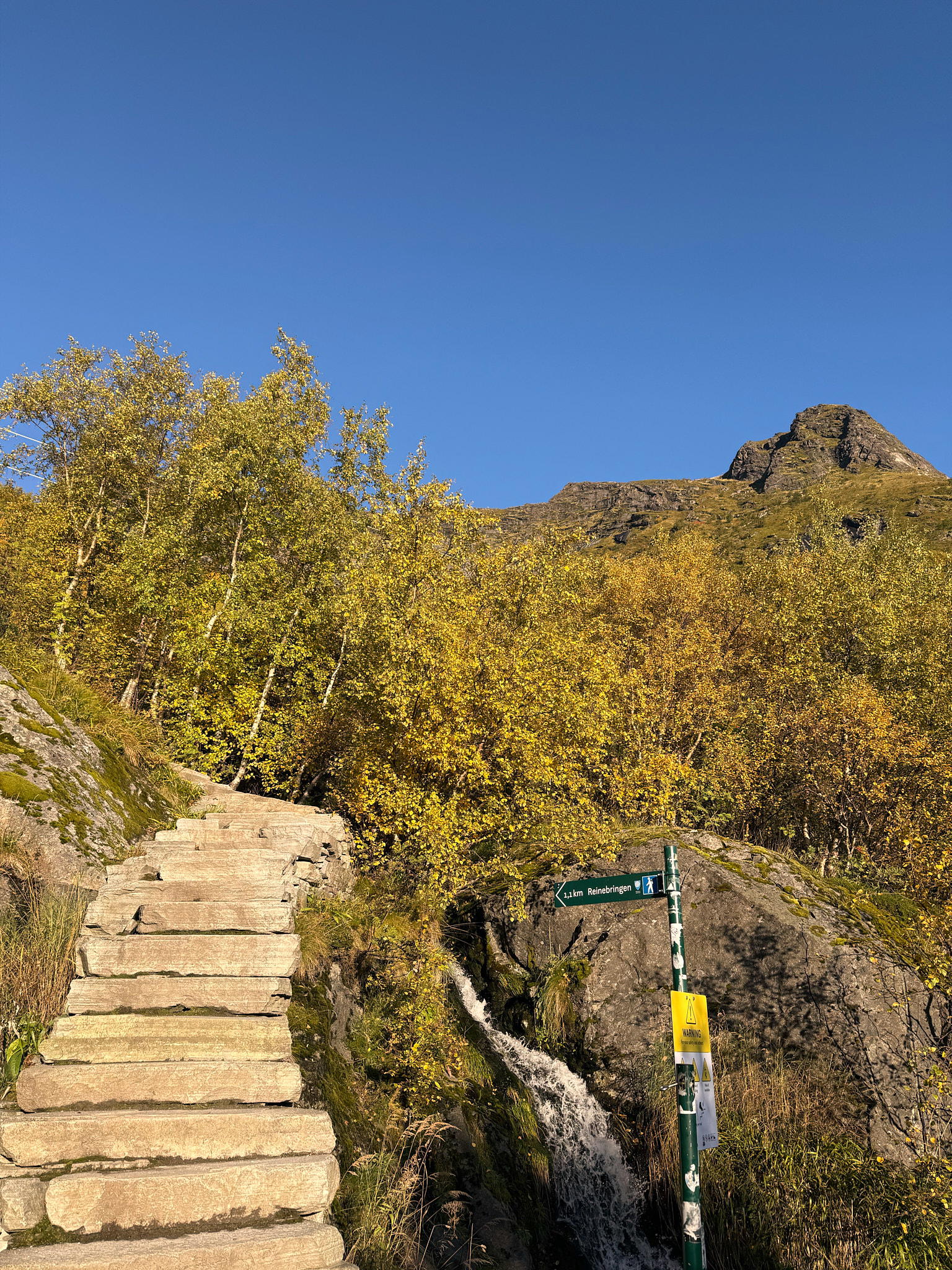 2025-09-27 09.32.10_Reine_2048.jpg