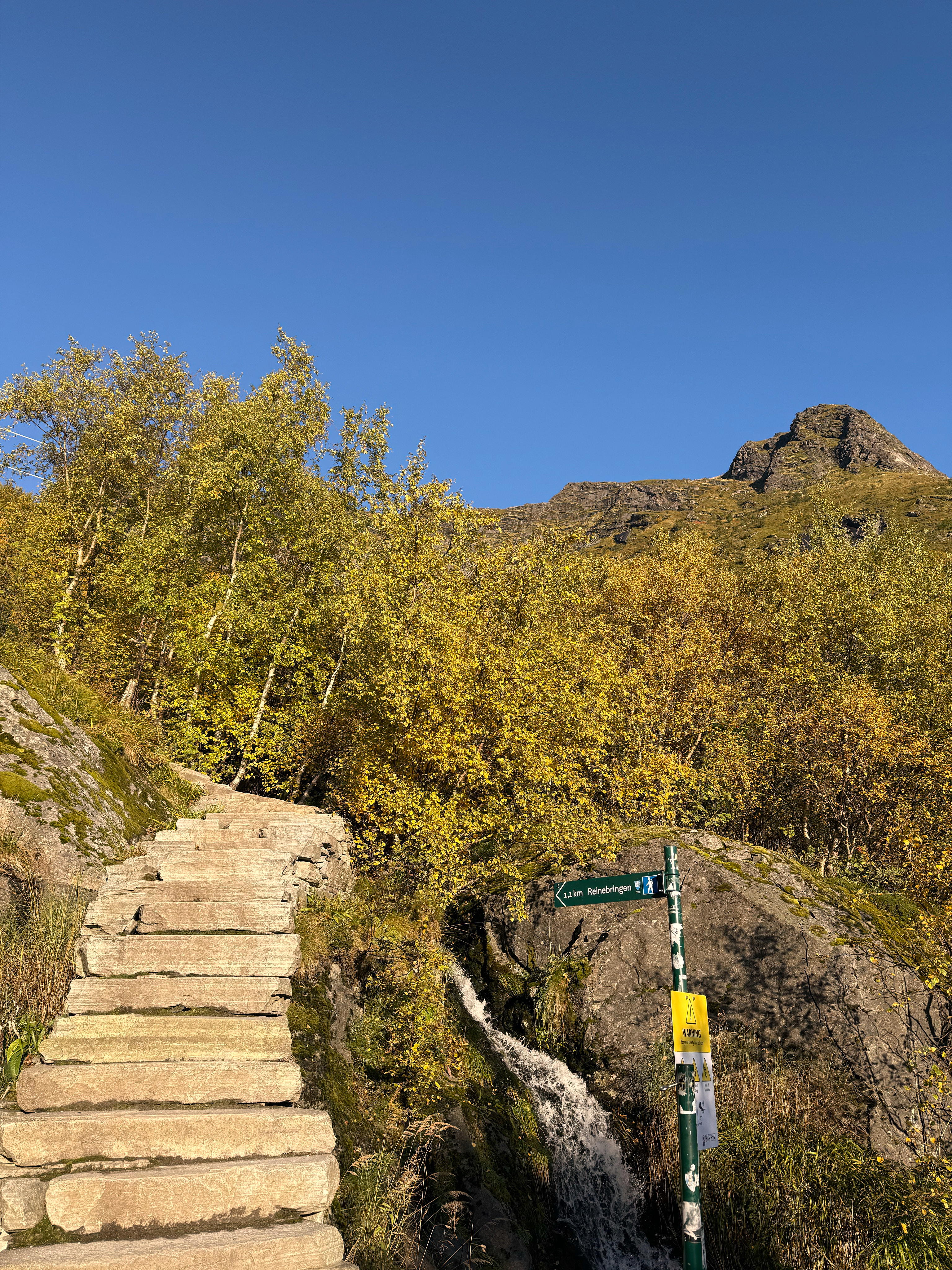 2025-09-27 09.32.10_Reine_4096.jpg