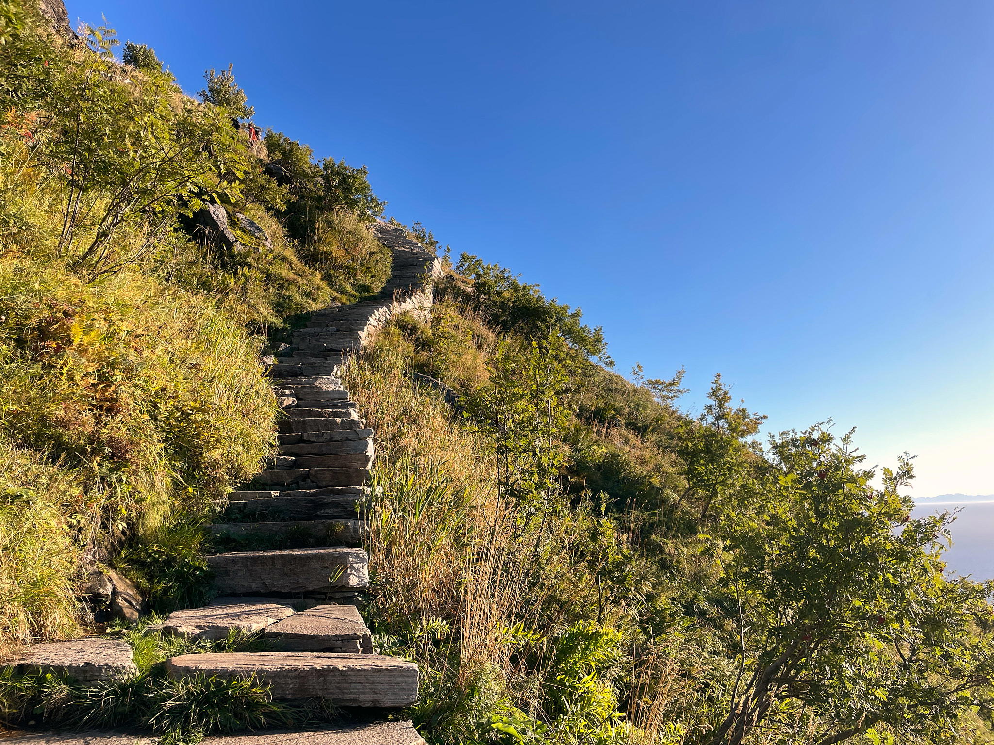 2025-09-27 09.52.30_Reine_2048.jpg