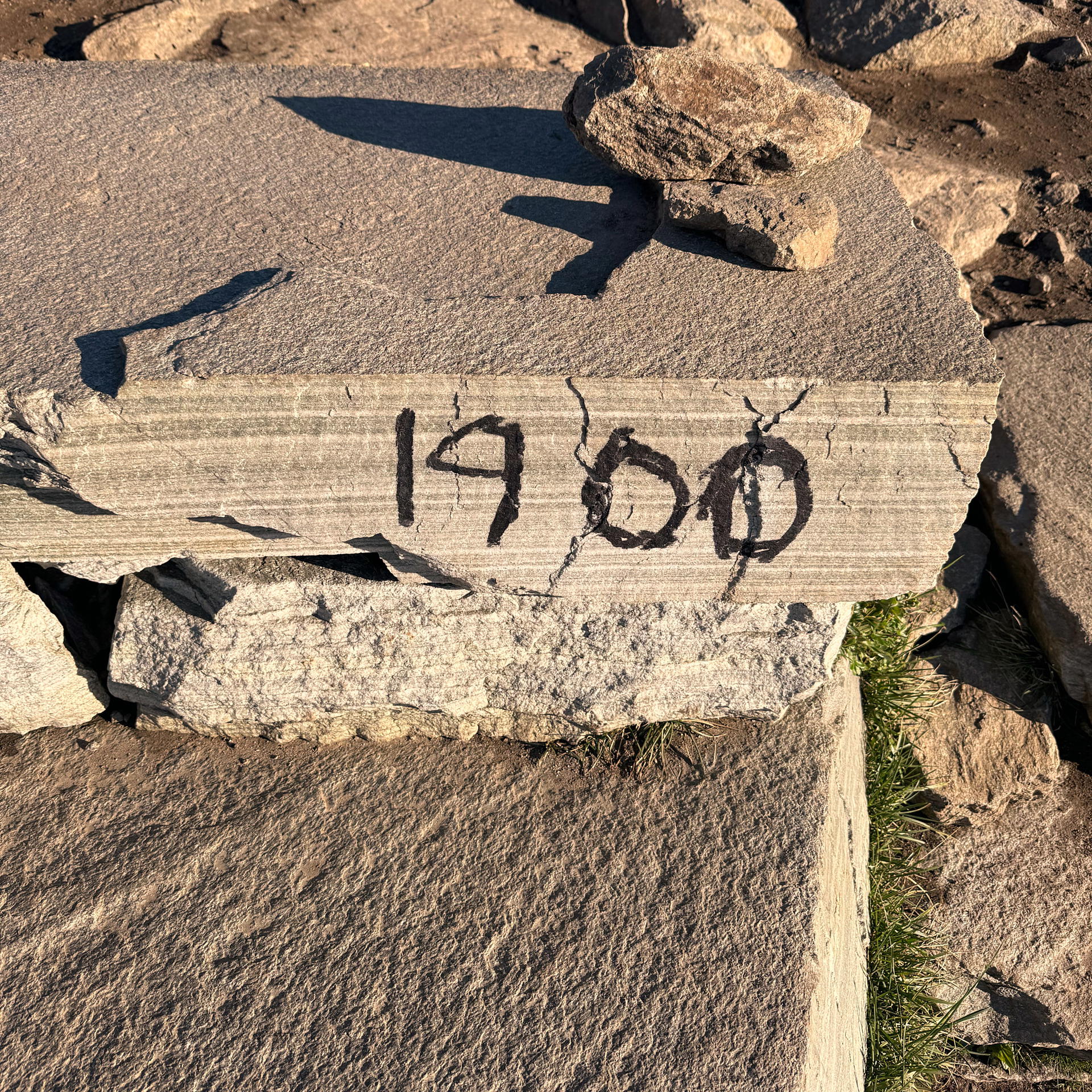 2025-09-27 10.01.43_Reine_2048.jpg