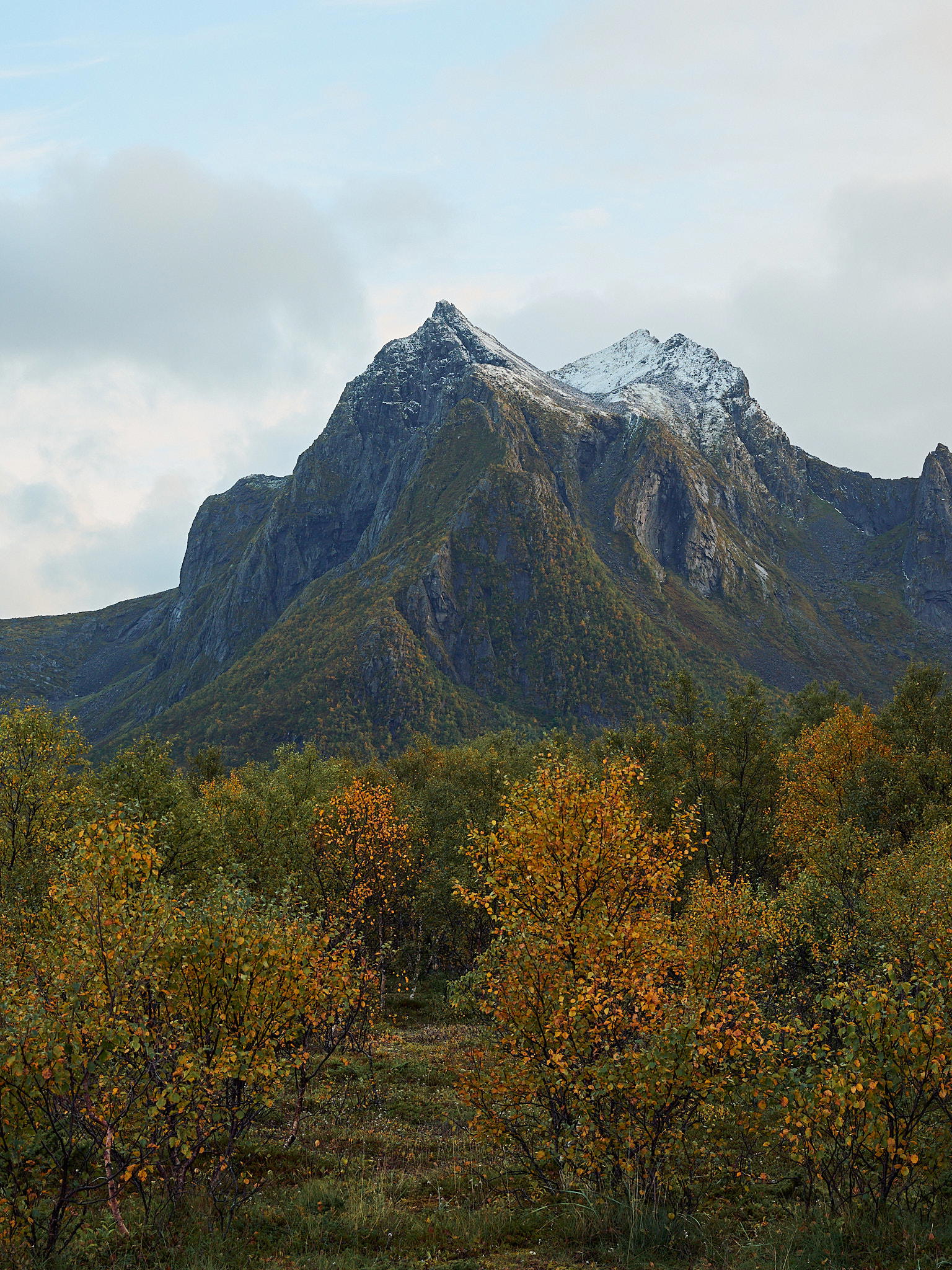 2025-09-23 17.07.35_Sanden_2048.jpg