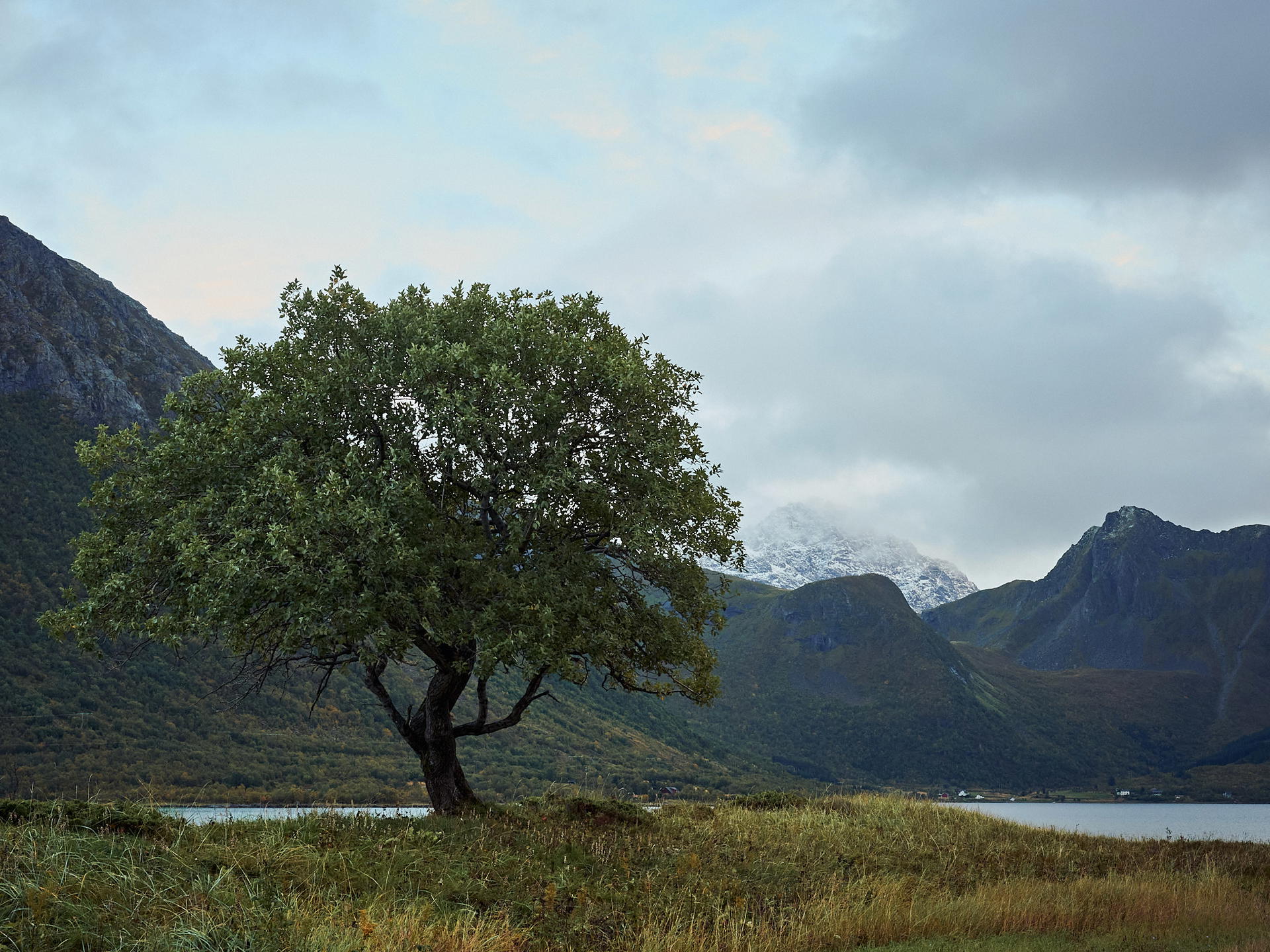 2025-09-23 17.16.11_Sanden_2048.jpg