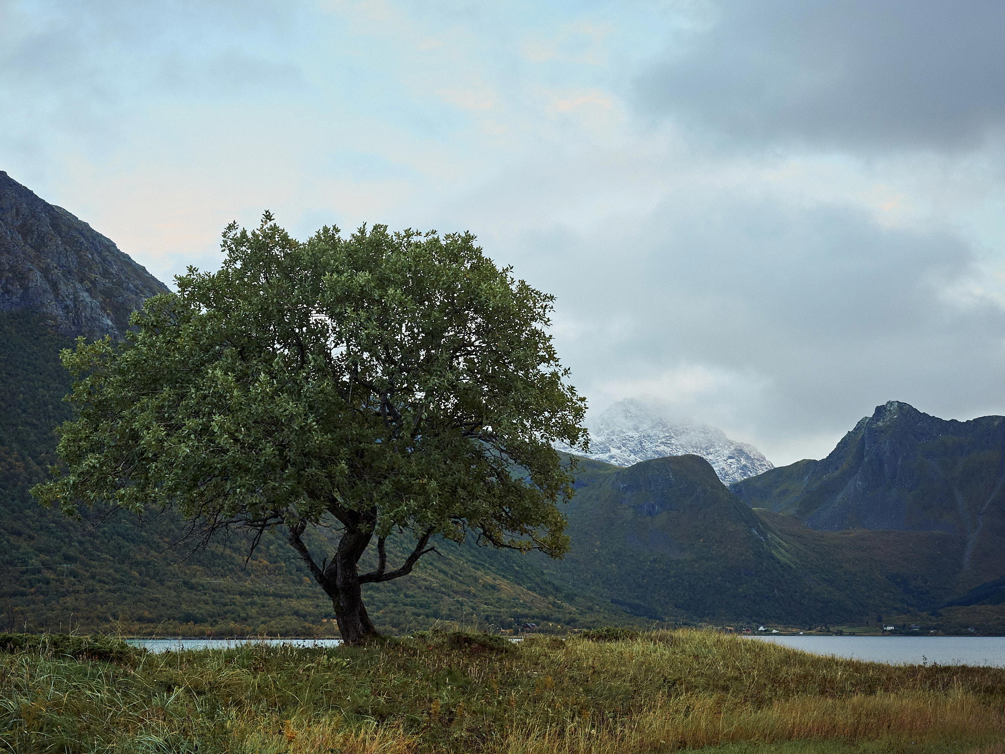 2025-09-23 17.16.11_Sanden_2048.jpg