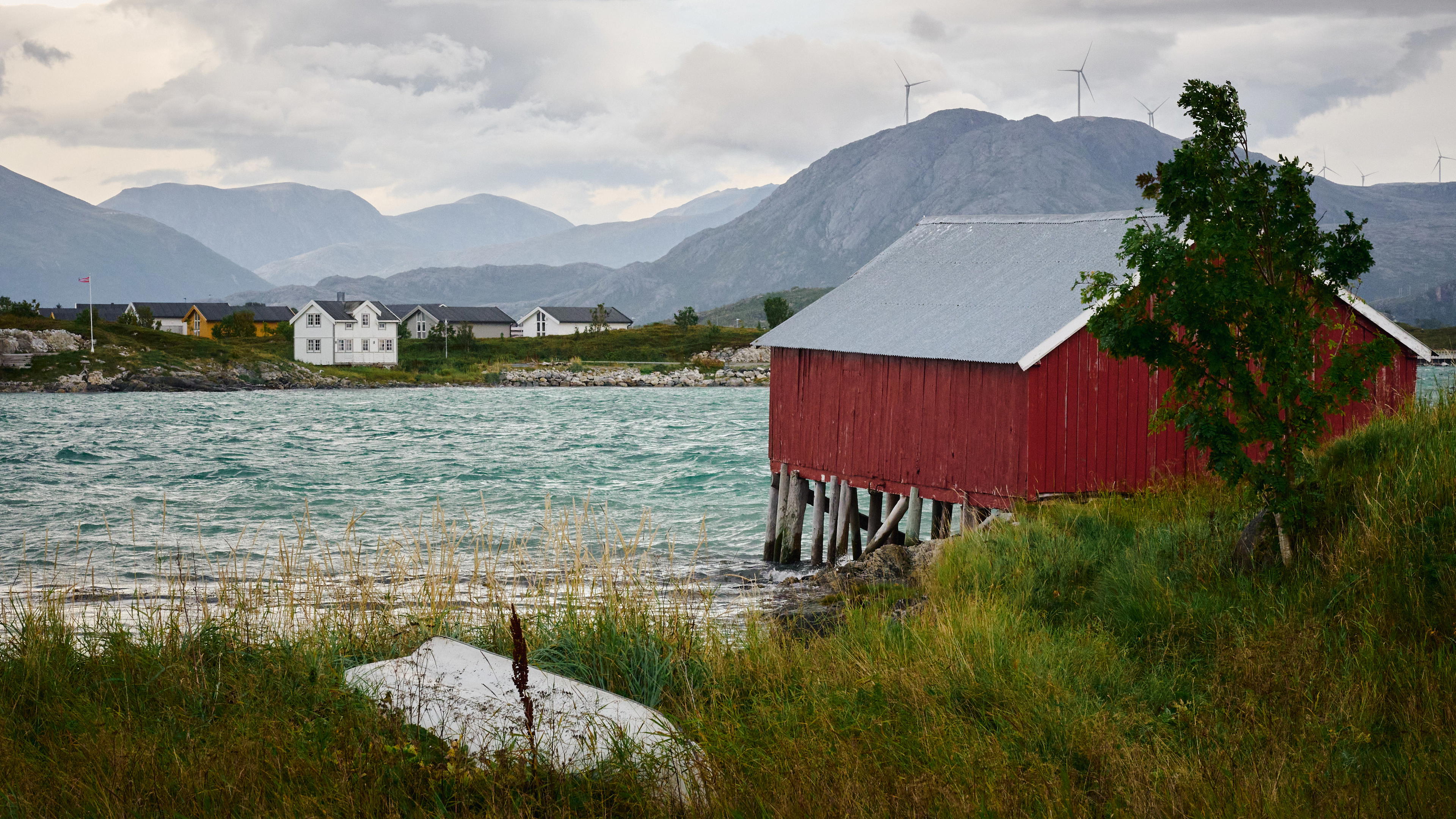 2025-09-12 16.54.10_Somaroy_4096.jpg