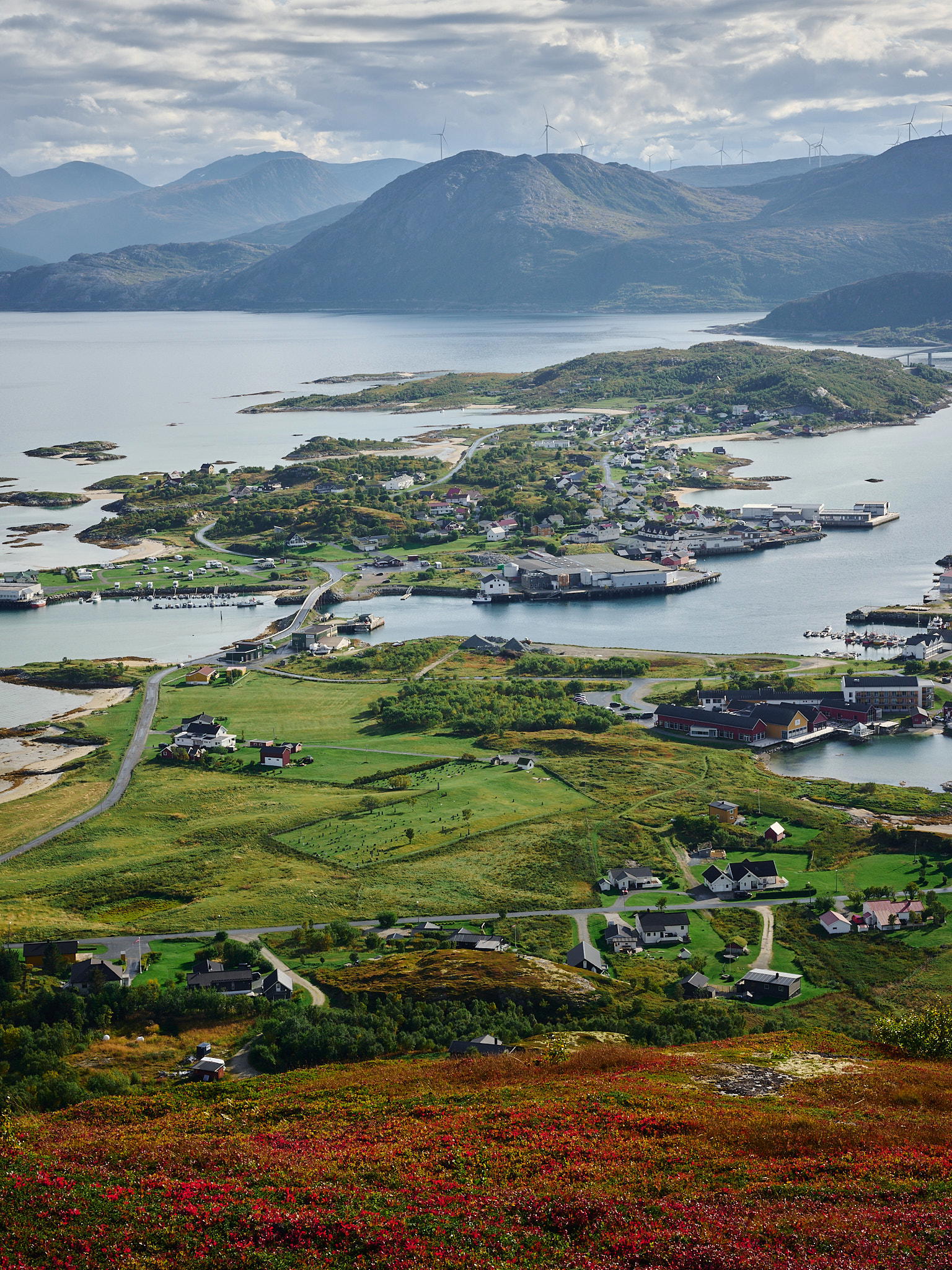 2025-09-13 10.56.49_Somaroy_2048.jpg