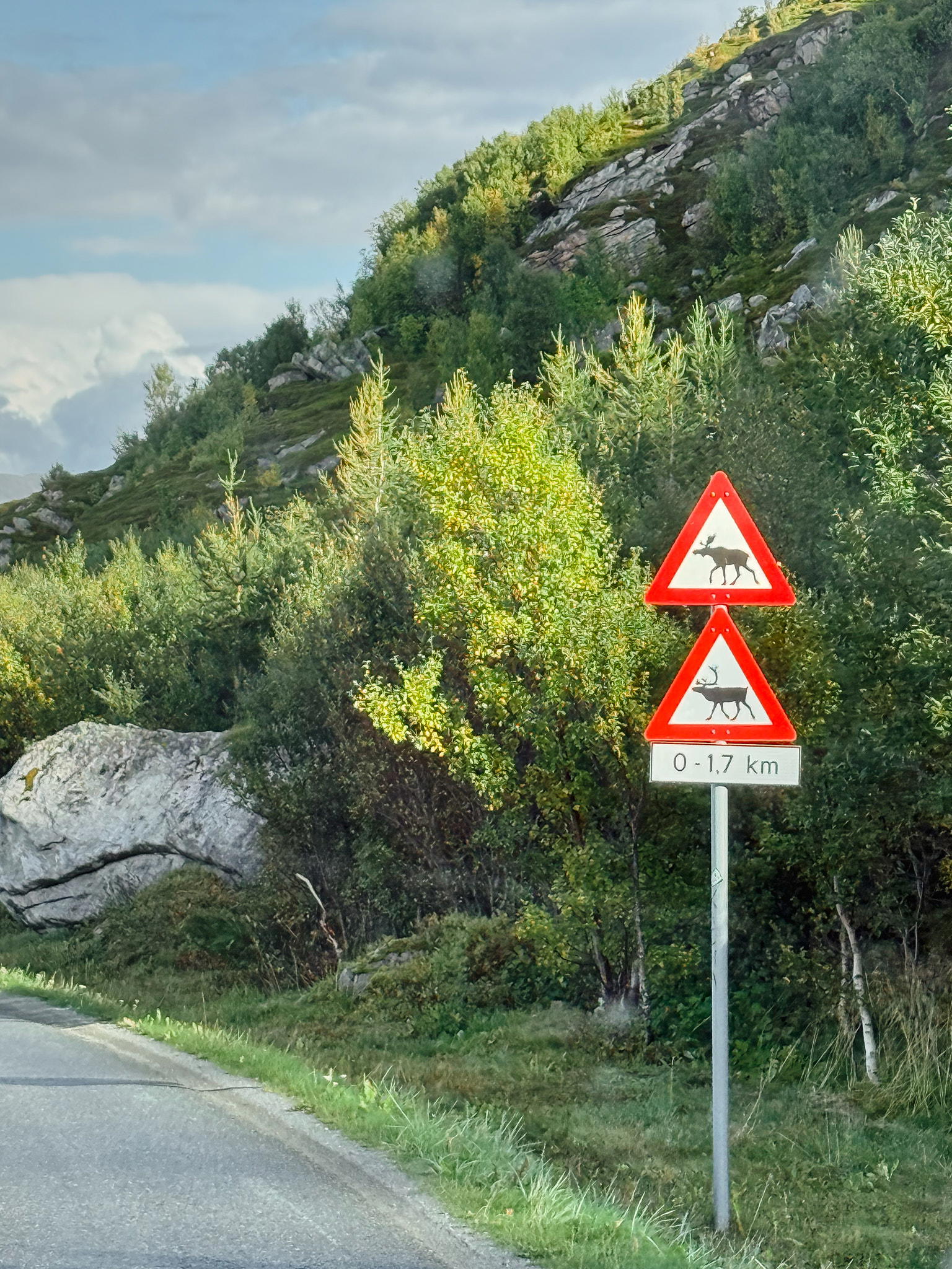 2025-09-13 14.20.50_Somaroy_2048.jpg