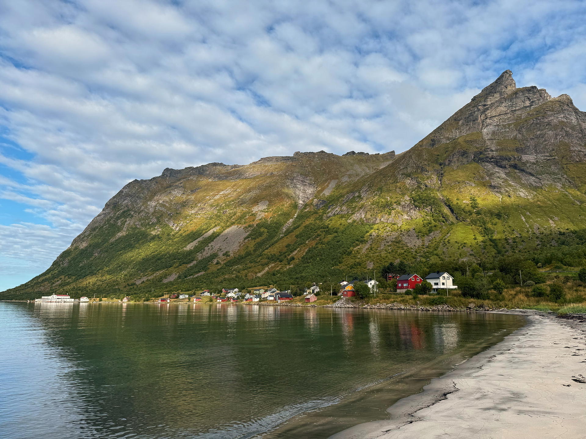 2025-09-08 13.07.31_Steinfjord_2048.jpg