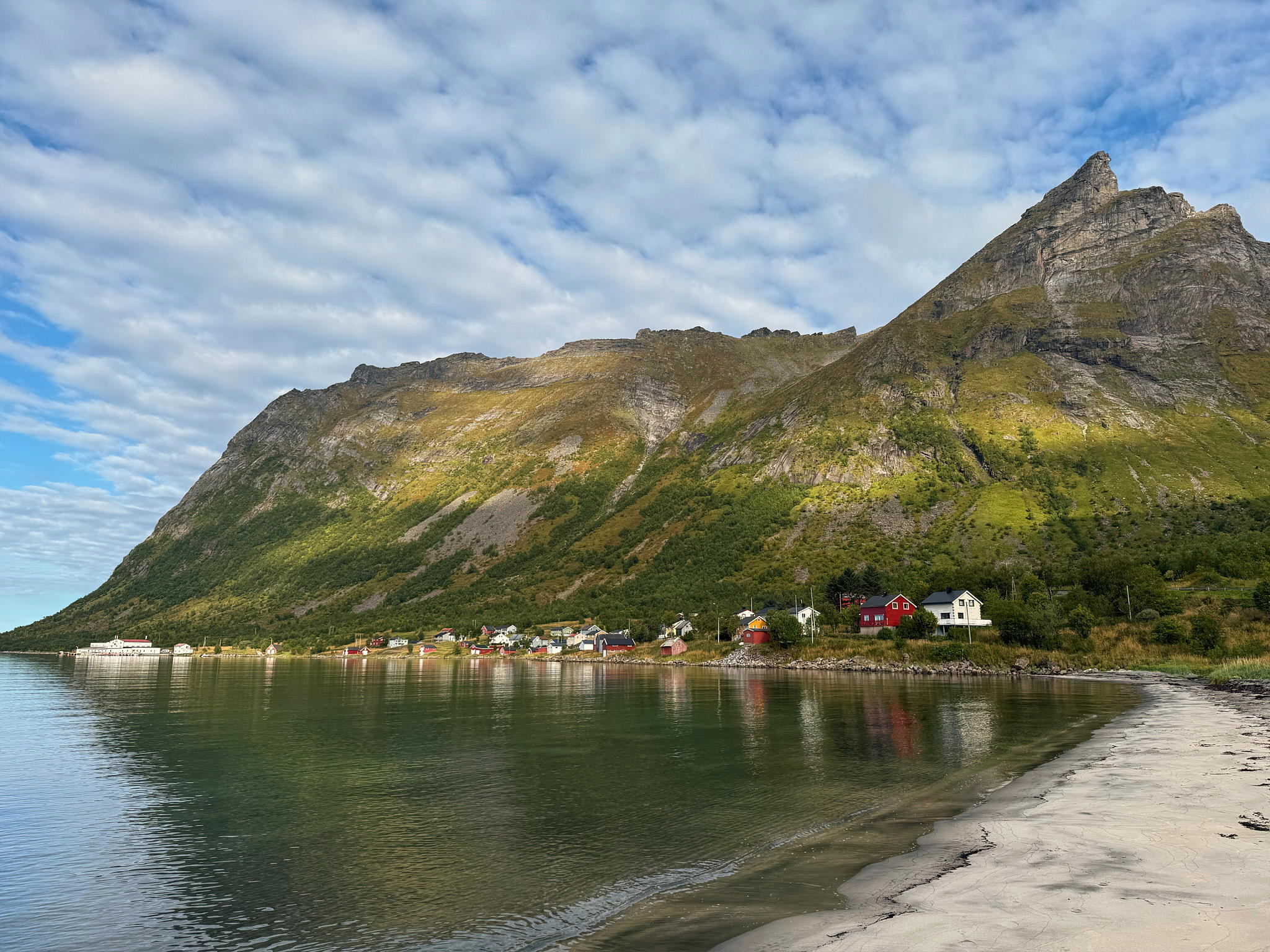 2025-09-08 13.07.31_Steinfjord_2048.jpg