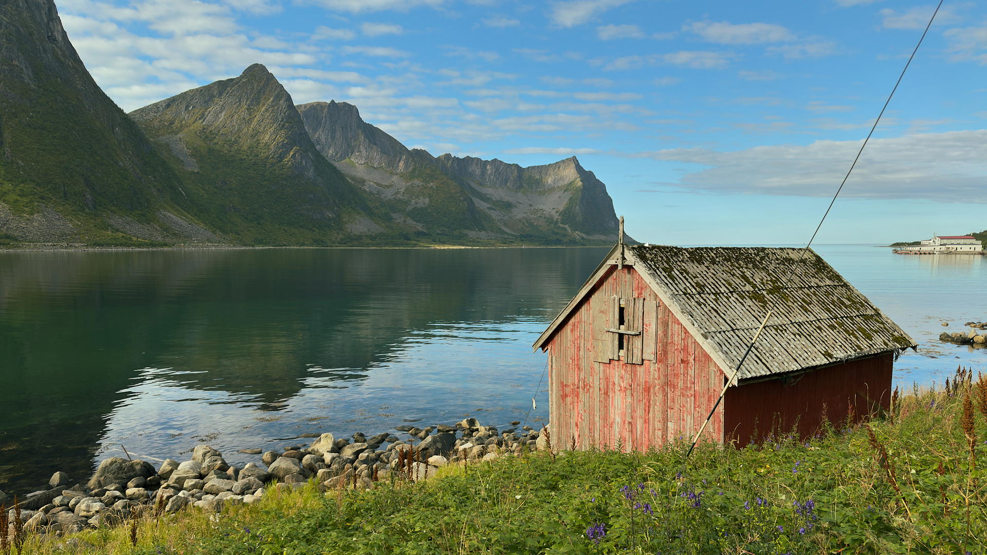 2025-09-08 13.13.20_Steinfjord_2048.jpg