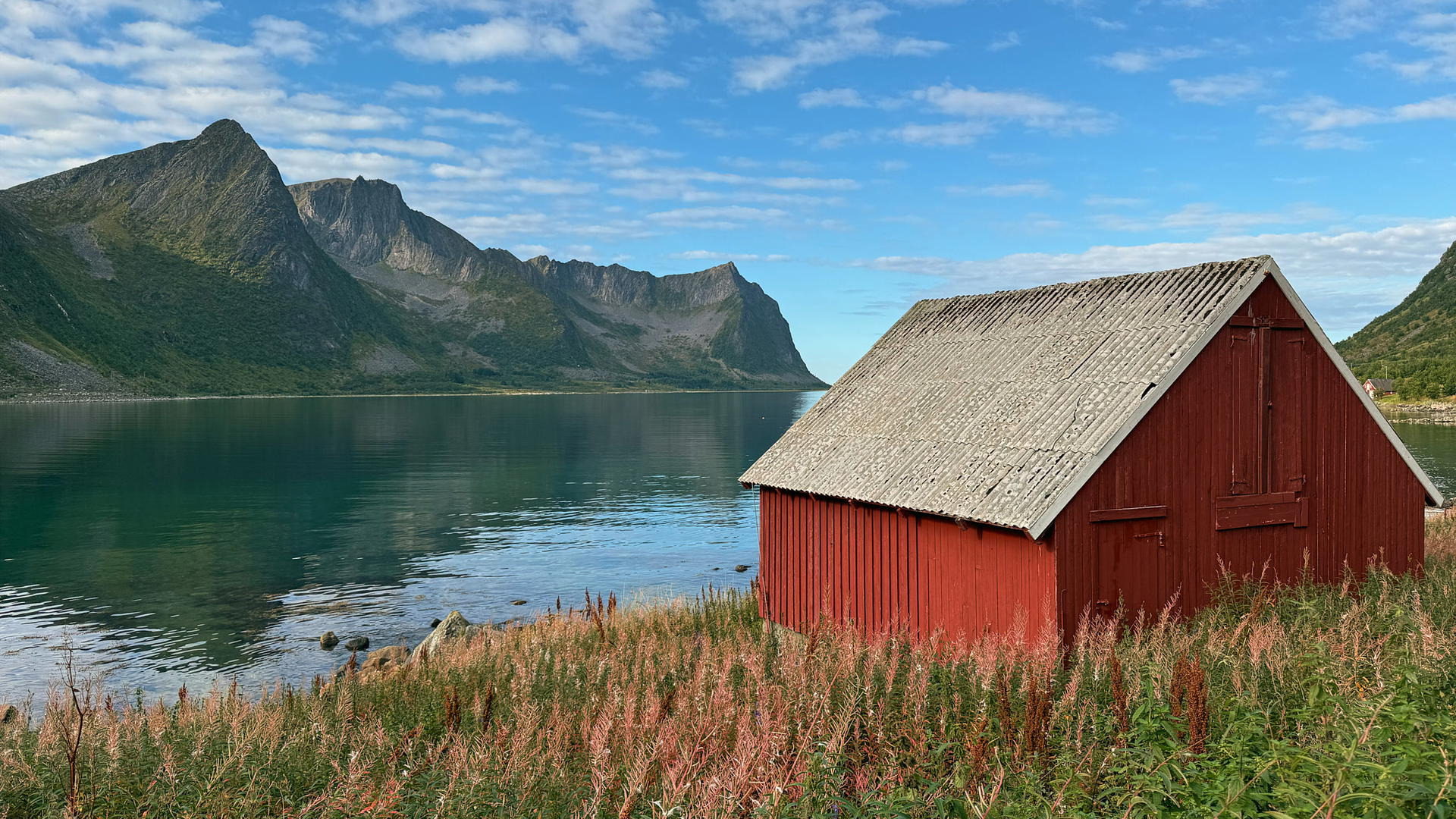 2025-09-08 13.14.46_Steinfjord_2048.jpg