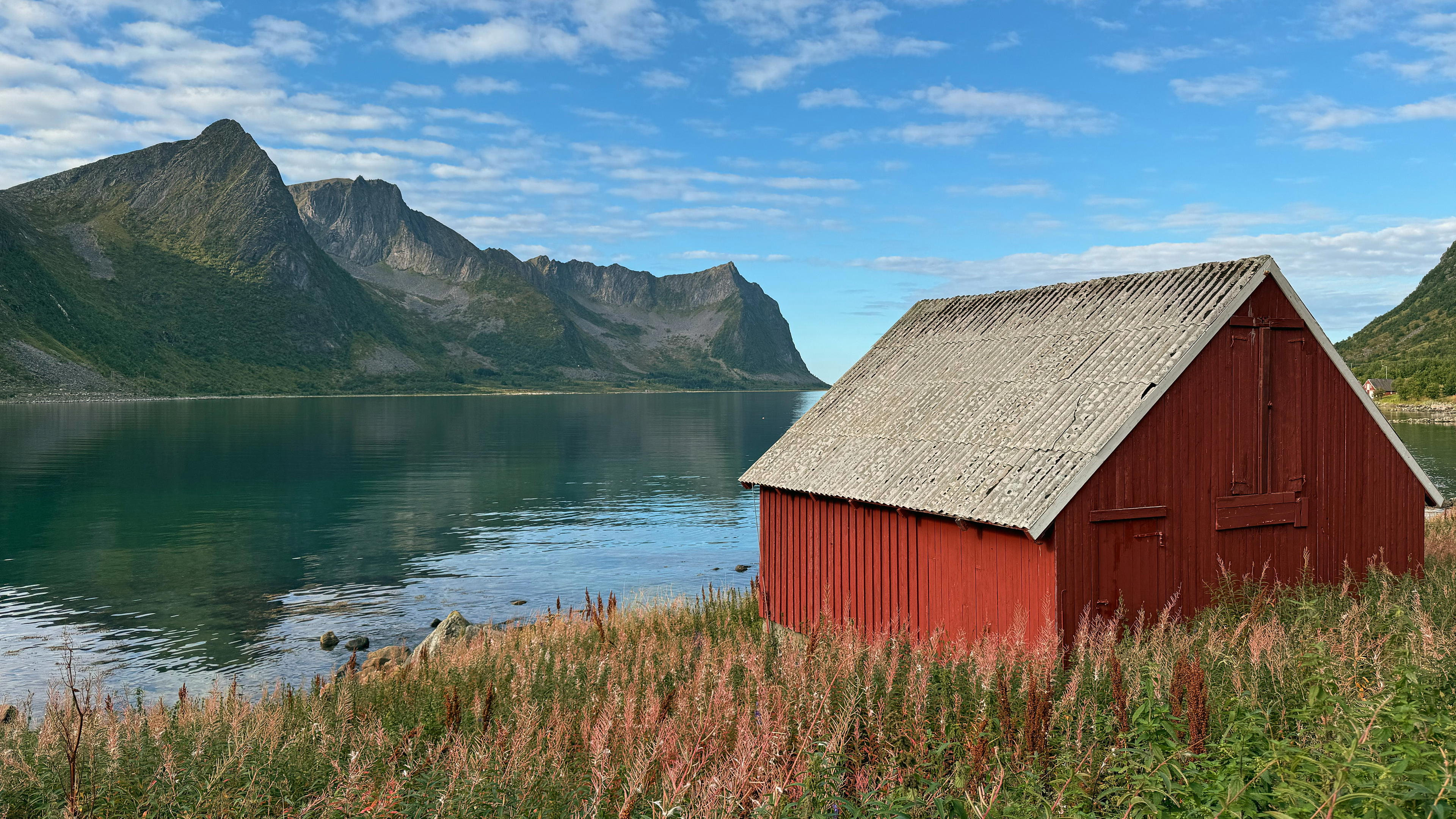 2025-09-08 13.14.46_Steinfjord_4096.jpg