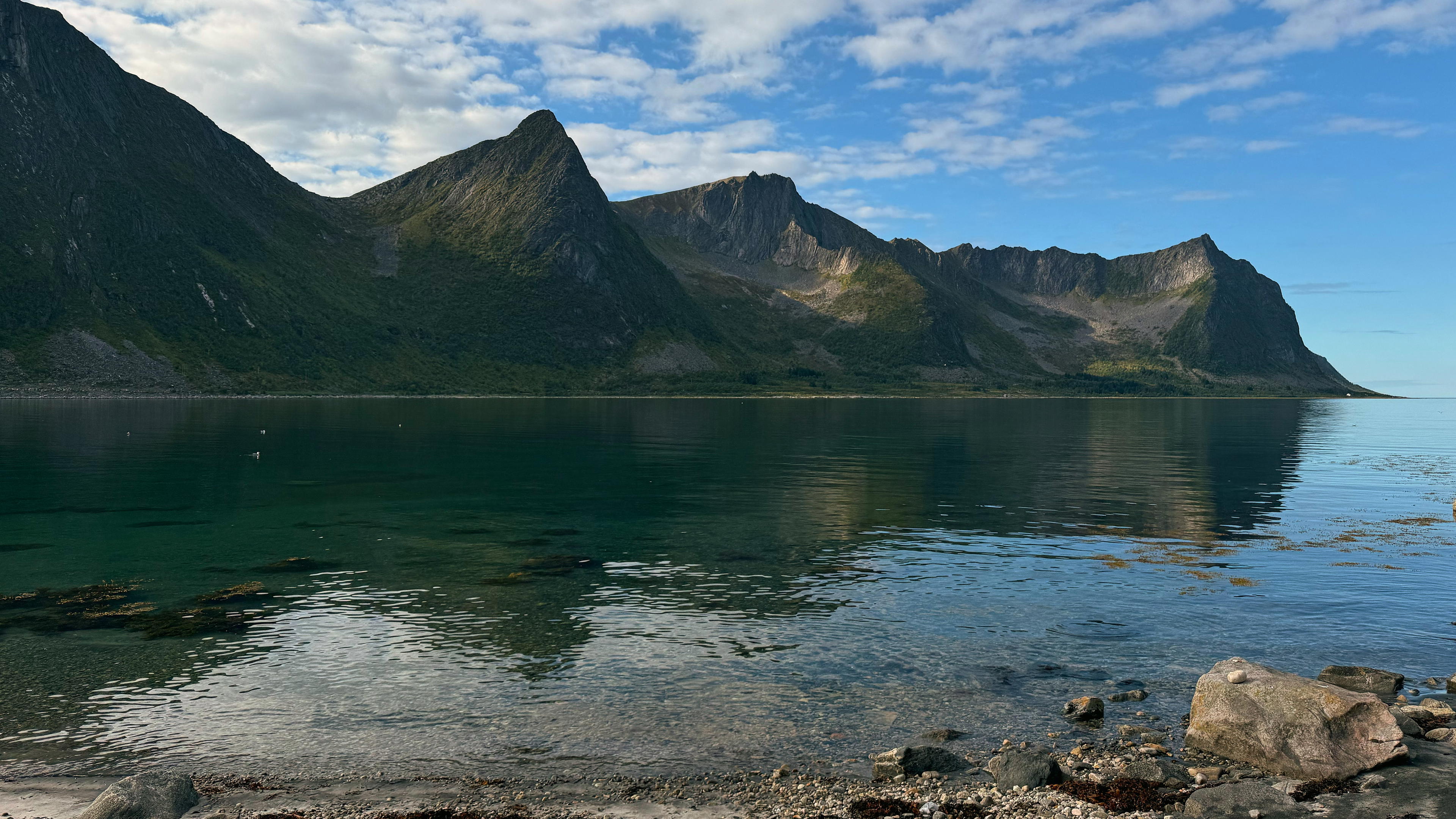 2025-09-08 13.26.19_Steinfjord_4096.jpg