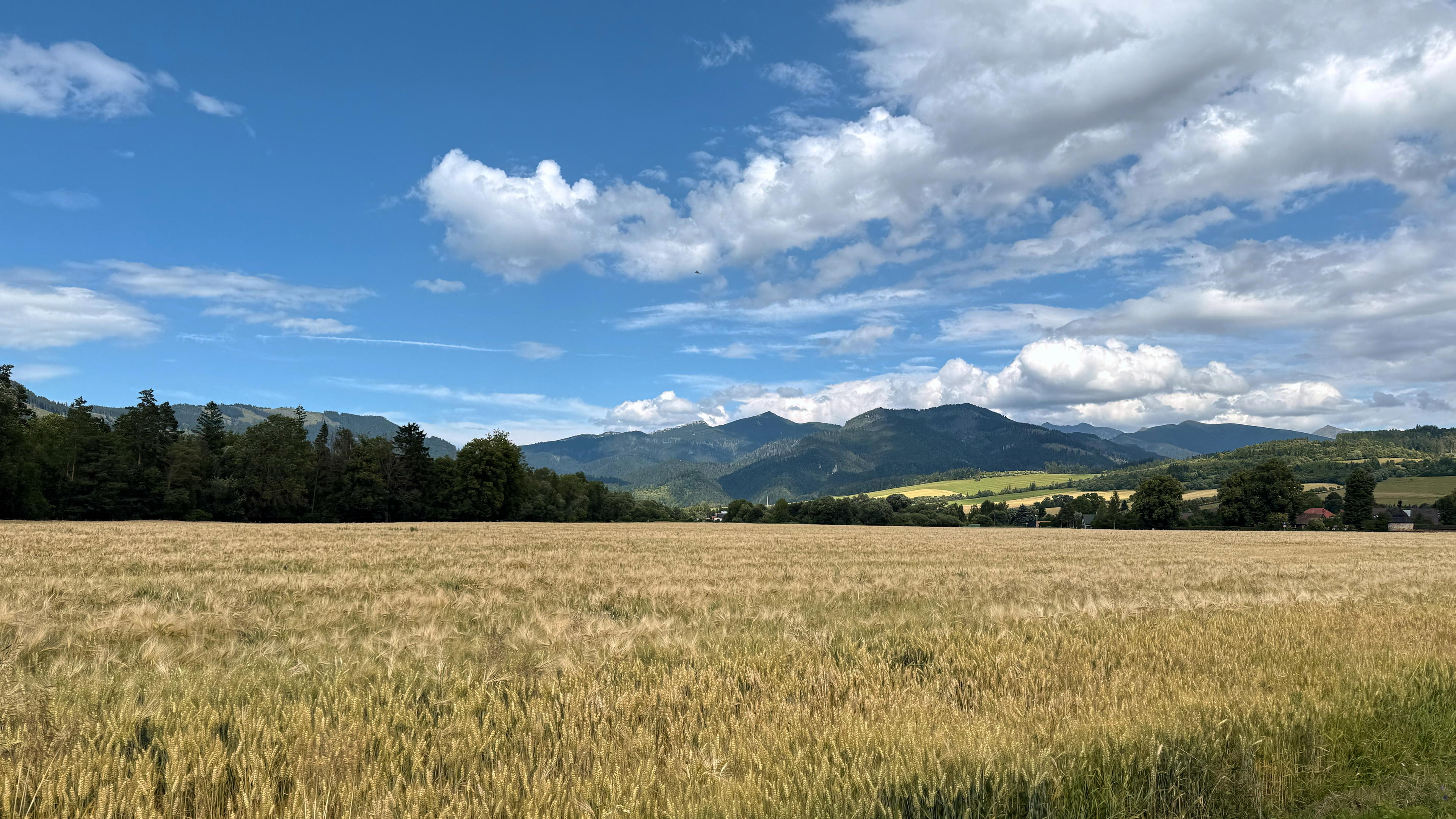2025-07-12 15.07.20_Tatra National Park_4096.jpg