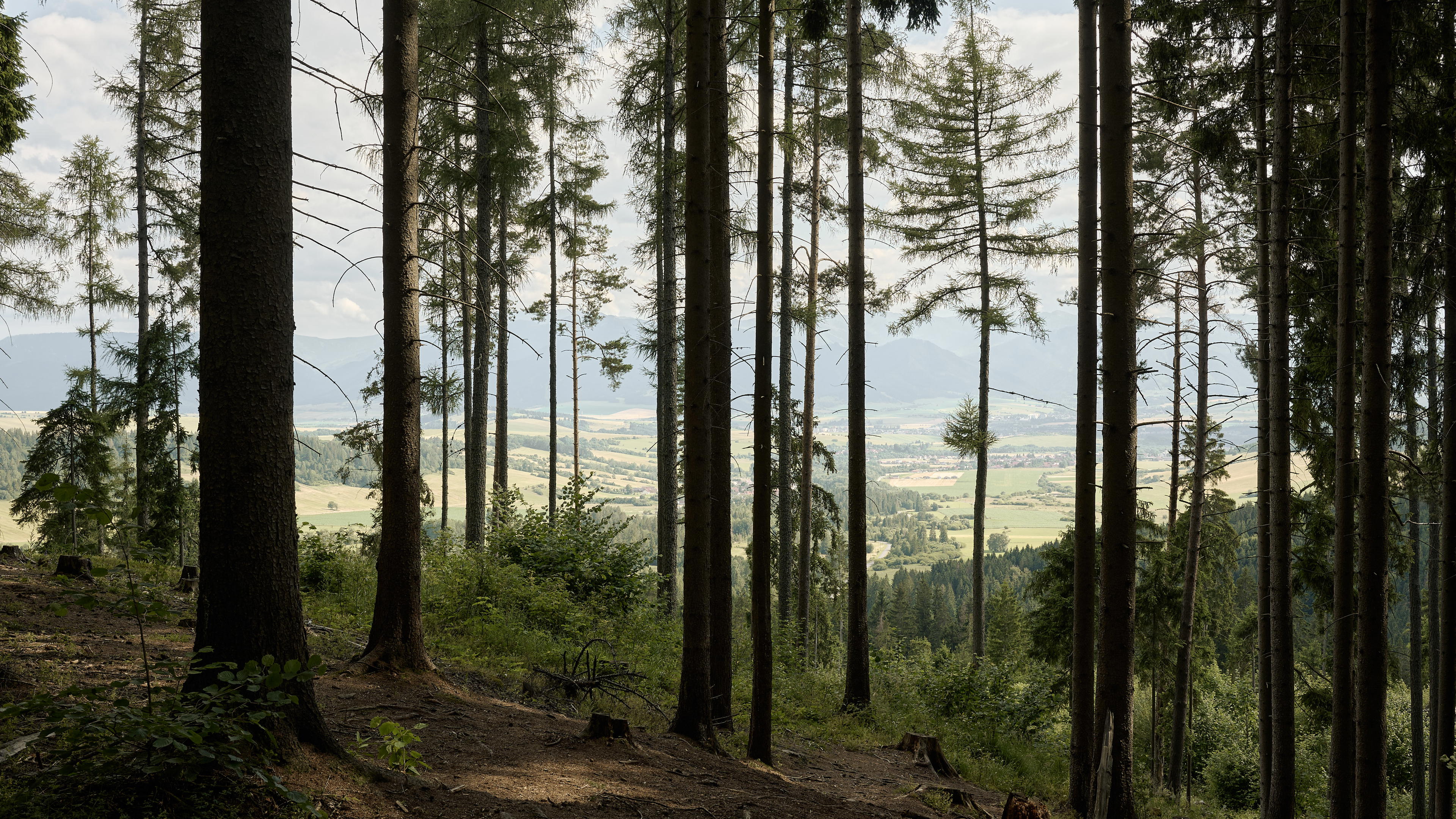 2025-07-12 16.30.11_Tatra National Park_4096.jpg