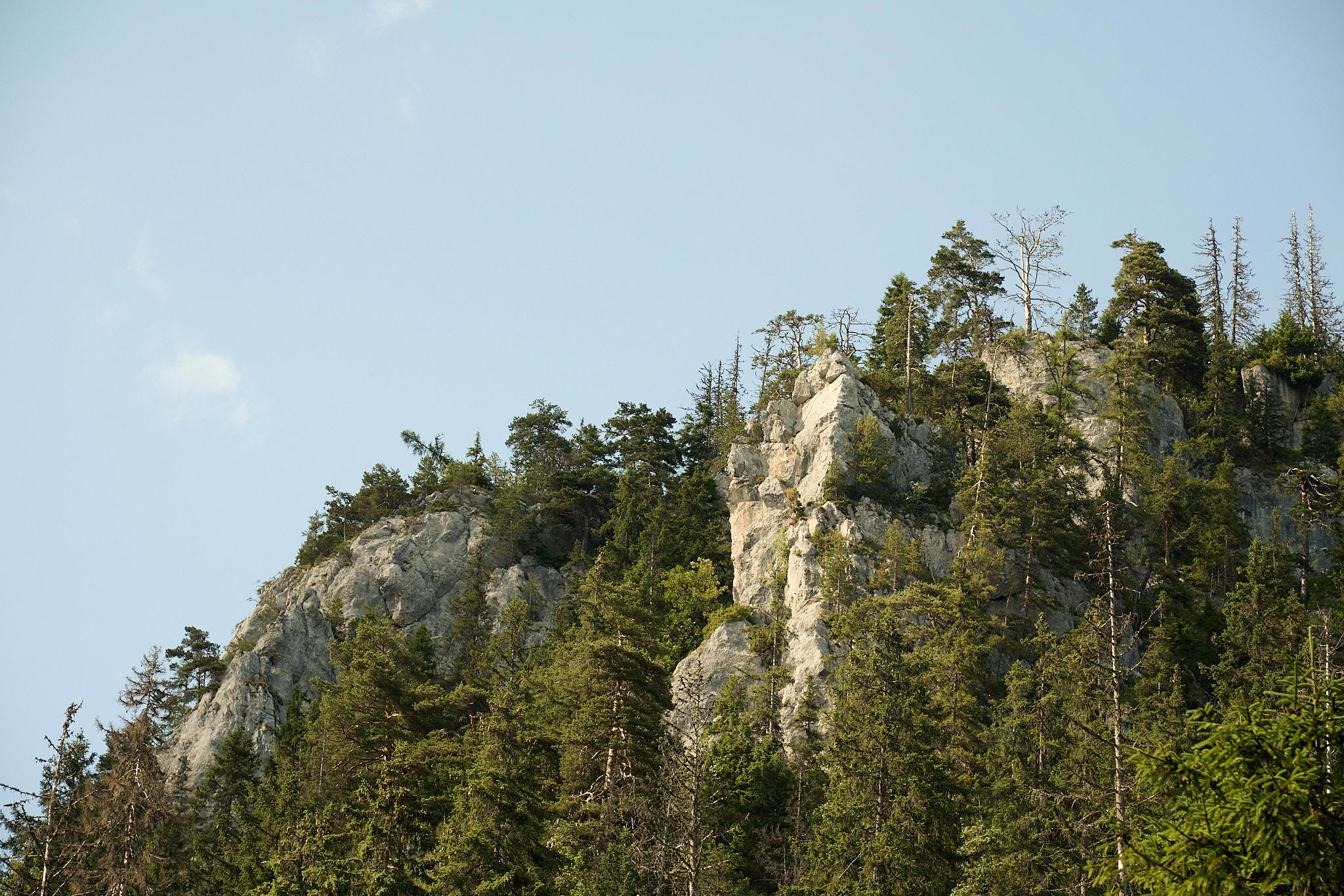 2025-07-12 16.45.57_Tatra National Park_2048.jpg