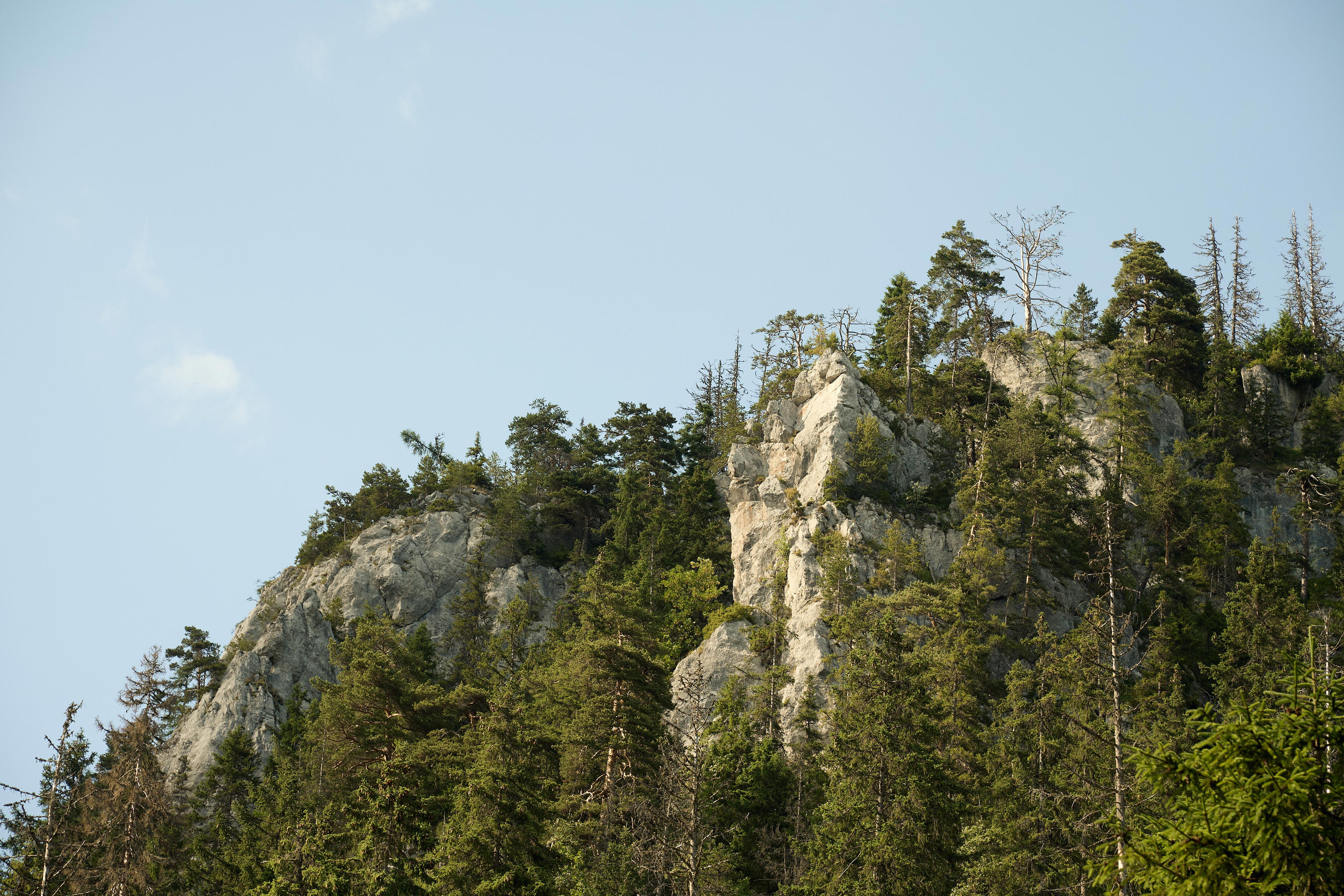 2025-07-12 16.45.57_Tatra National Park_4096.jpg